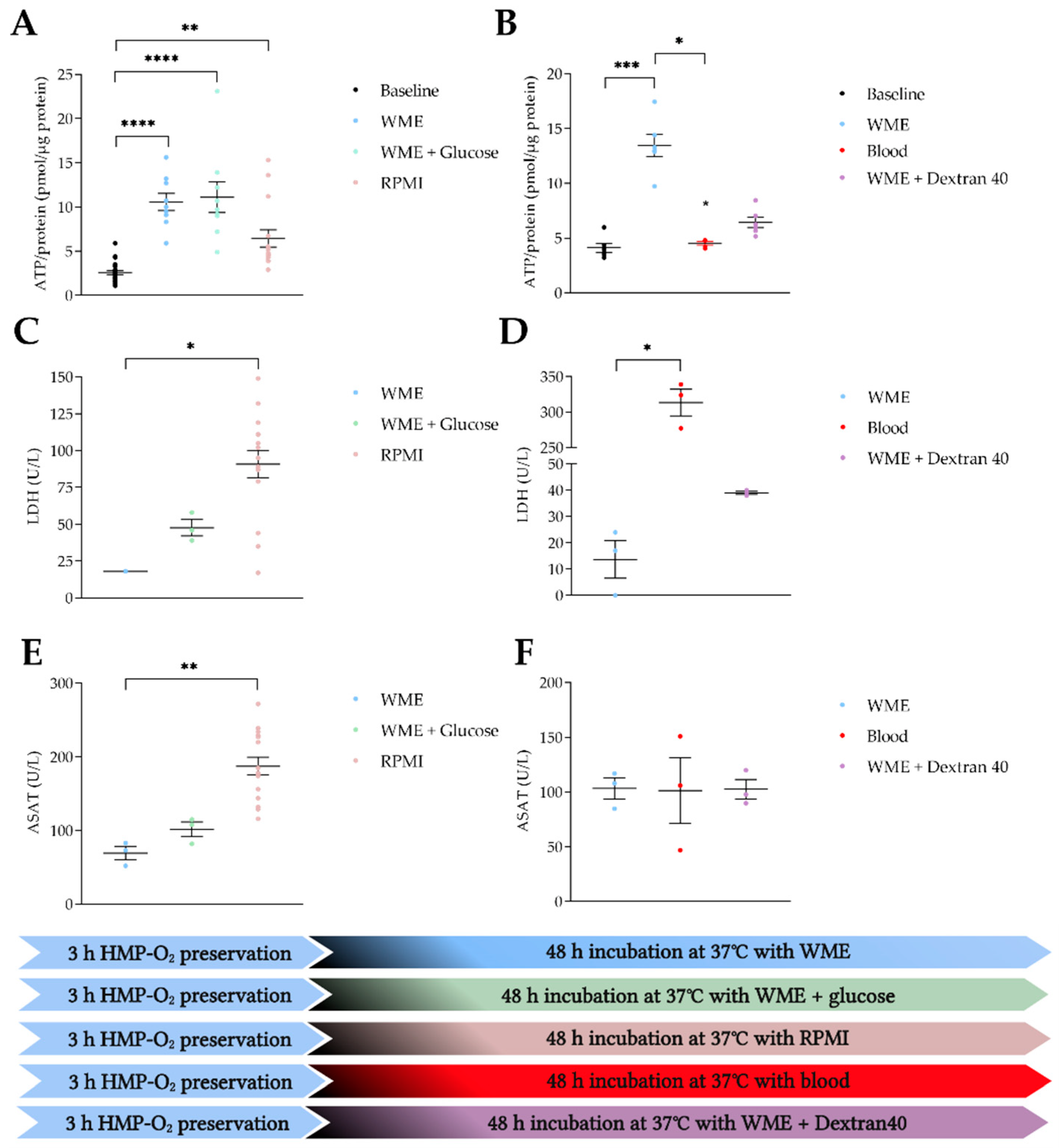 Transplantology 03 00015 g004