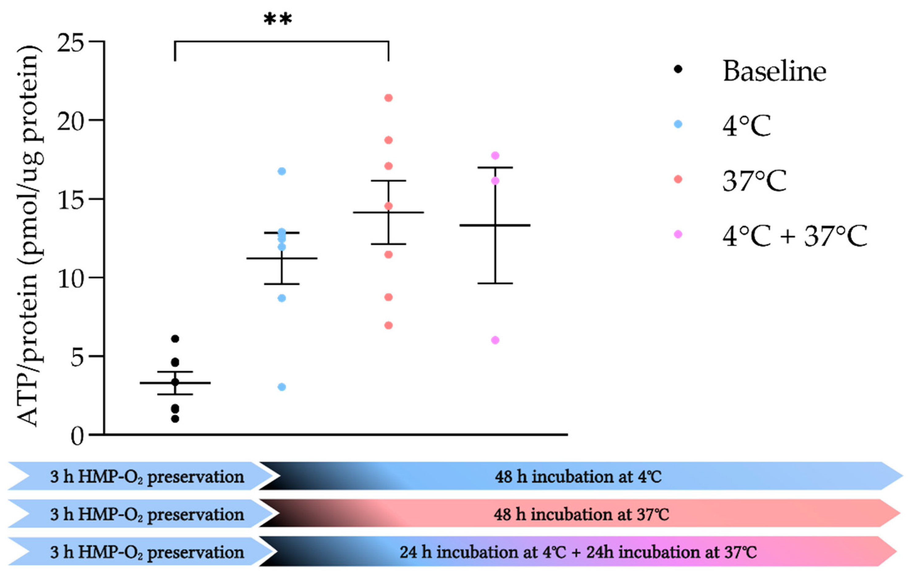 Transplantology 03 00015 g005