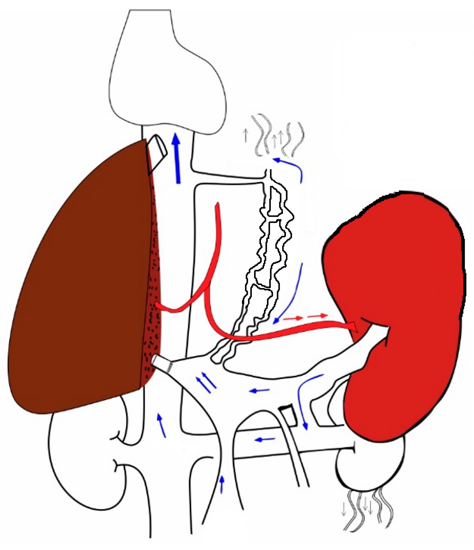 Transplantology 04 00006 g003 550