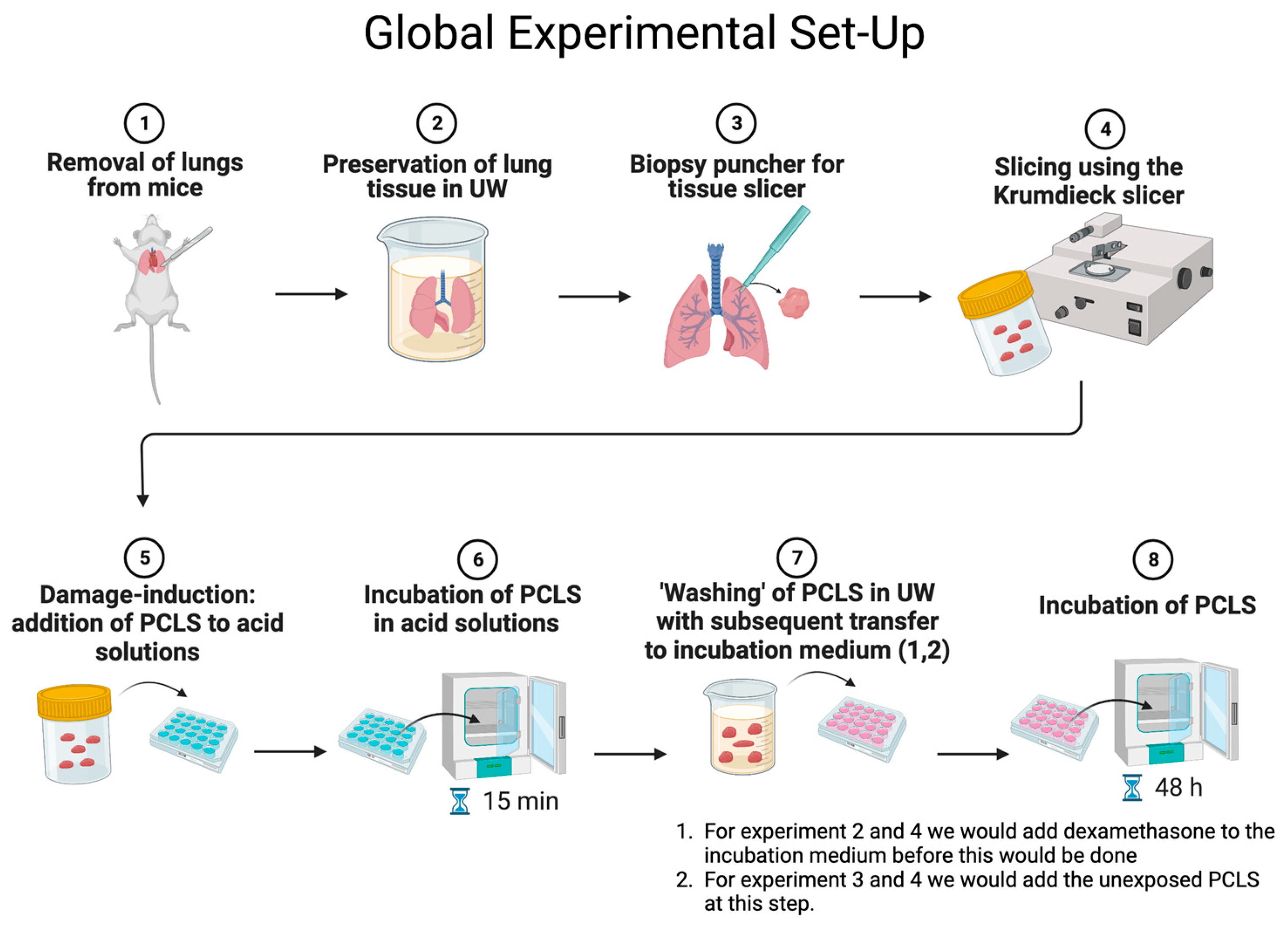 Transplantology 04 00018 g001