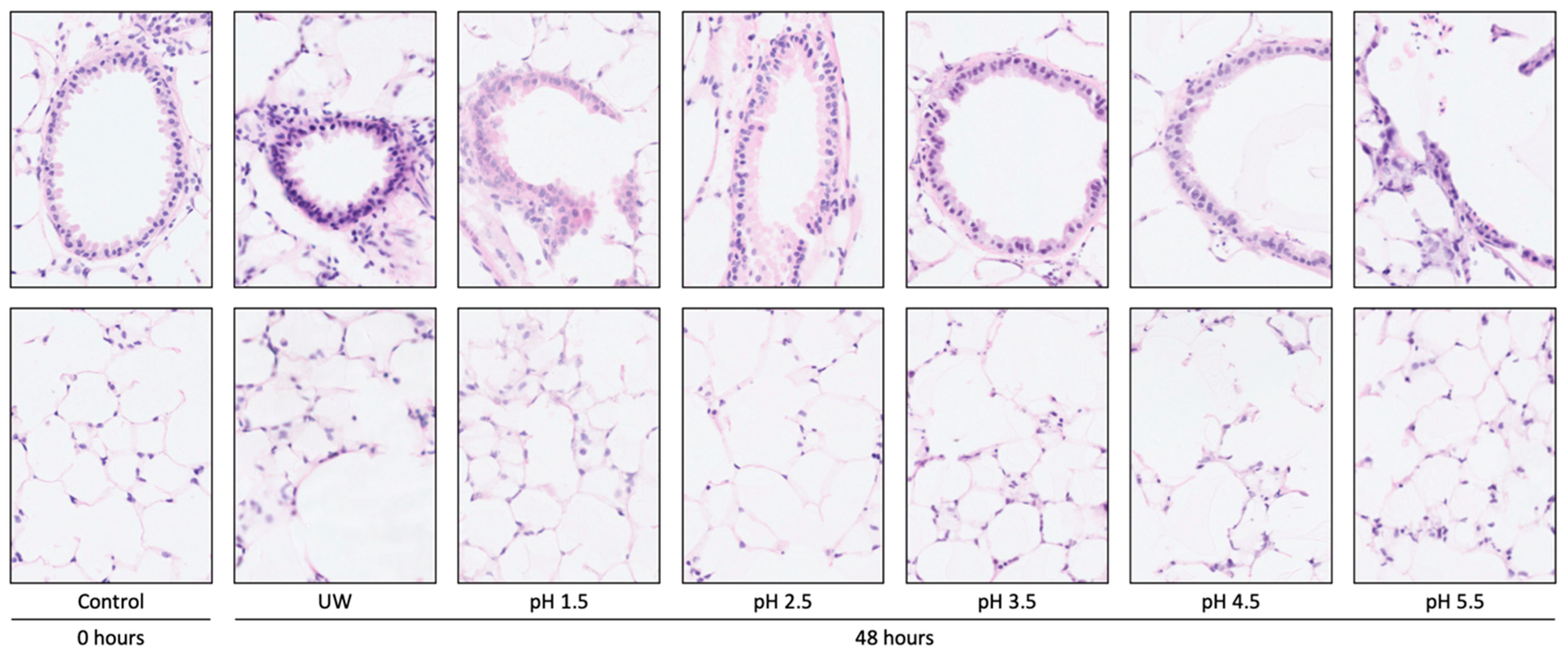 Transplantology 04 00018 g003