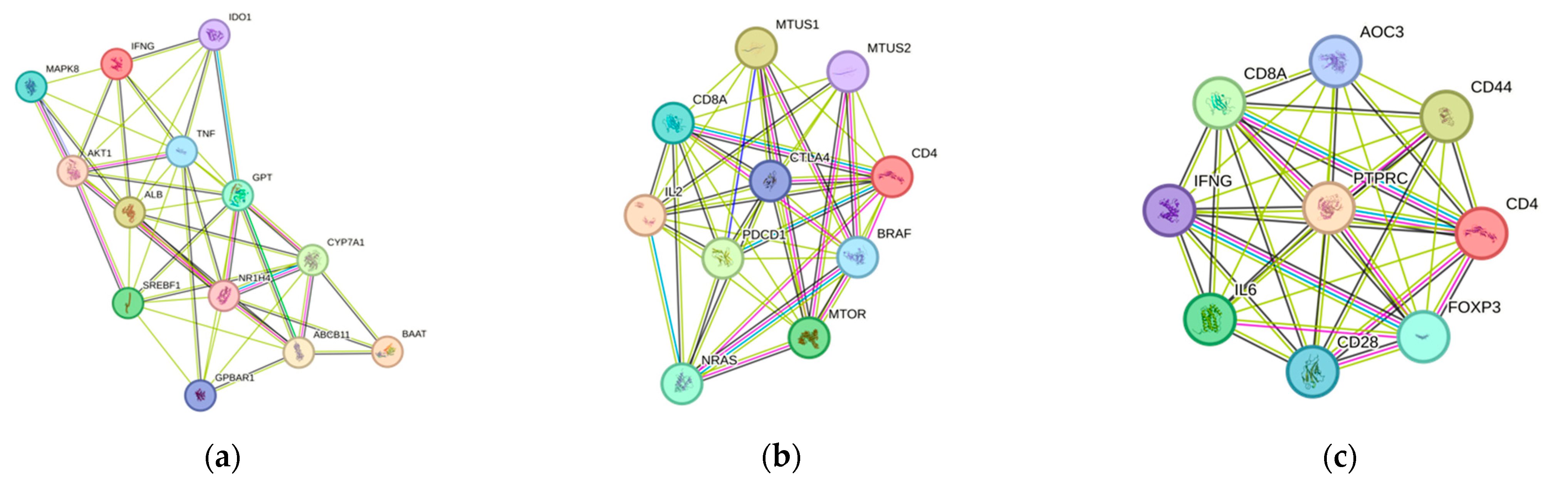 Transplantology 05 00019 g003