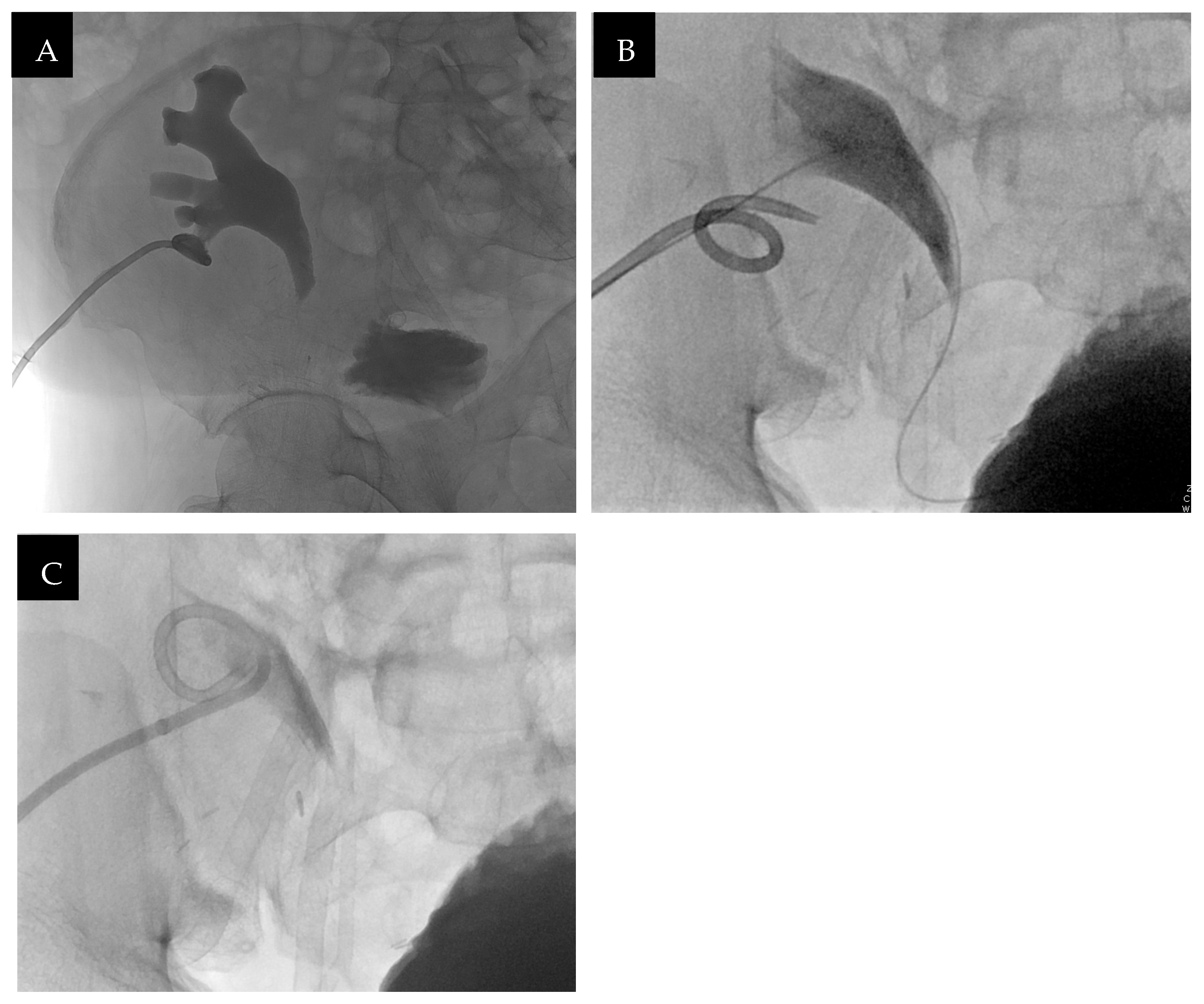 Transplantology 05 00026 g007