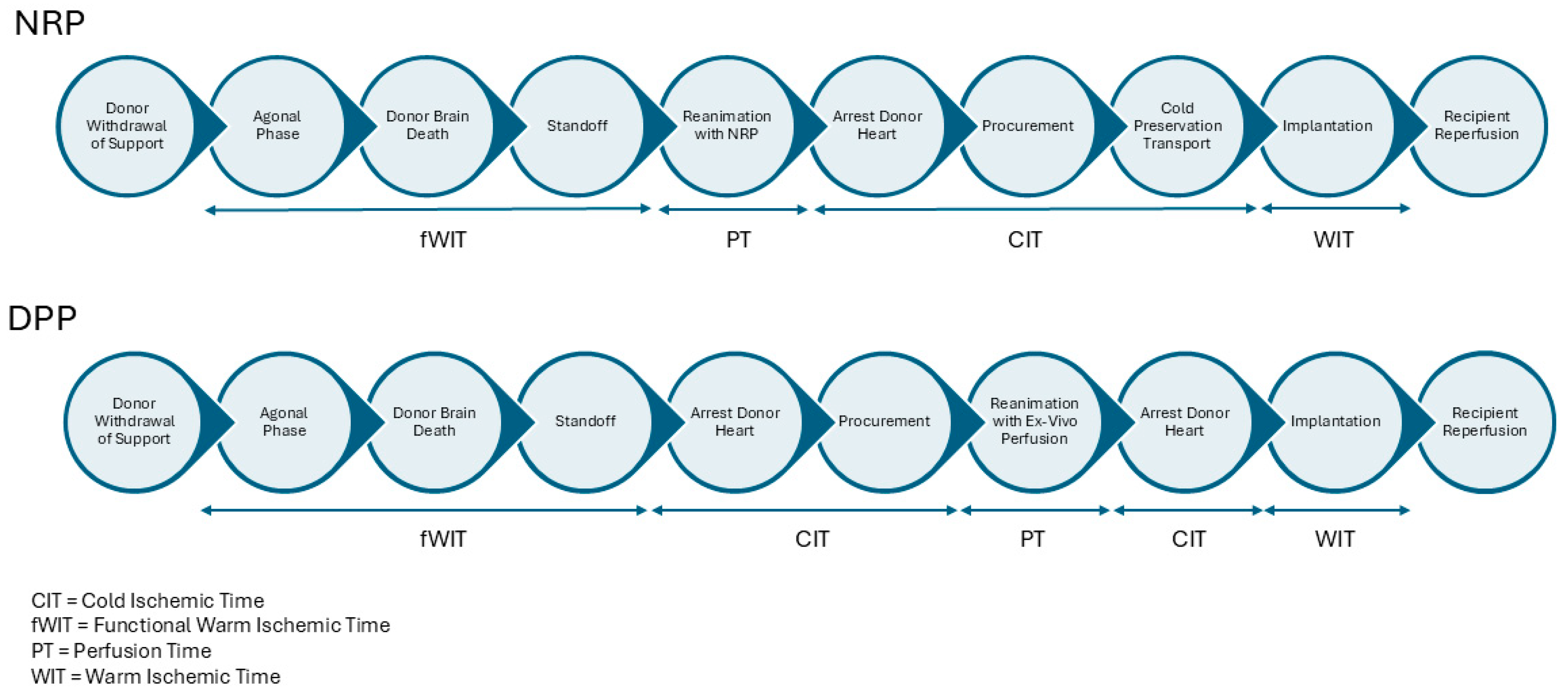 Transplantology 06 00011 g001
