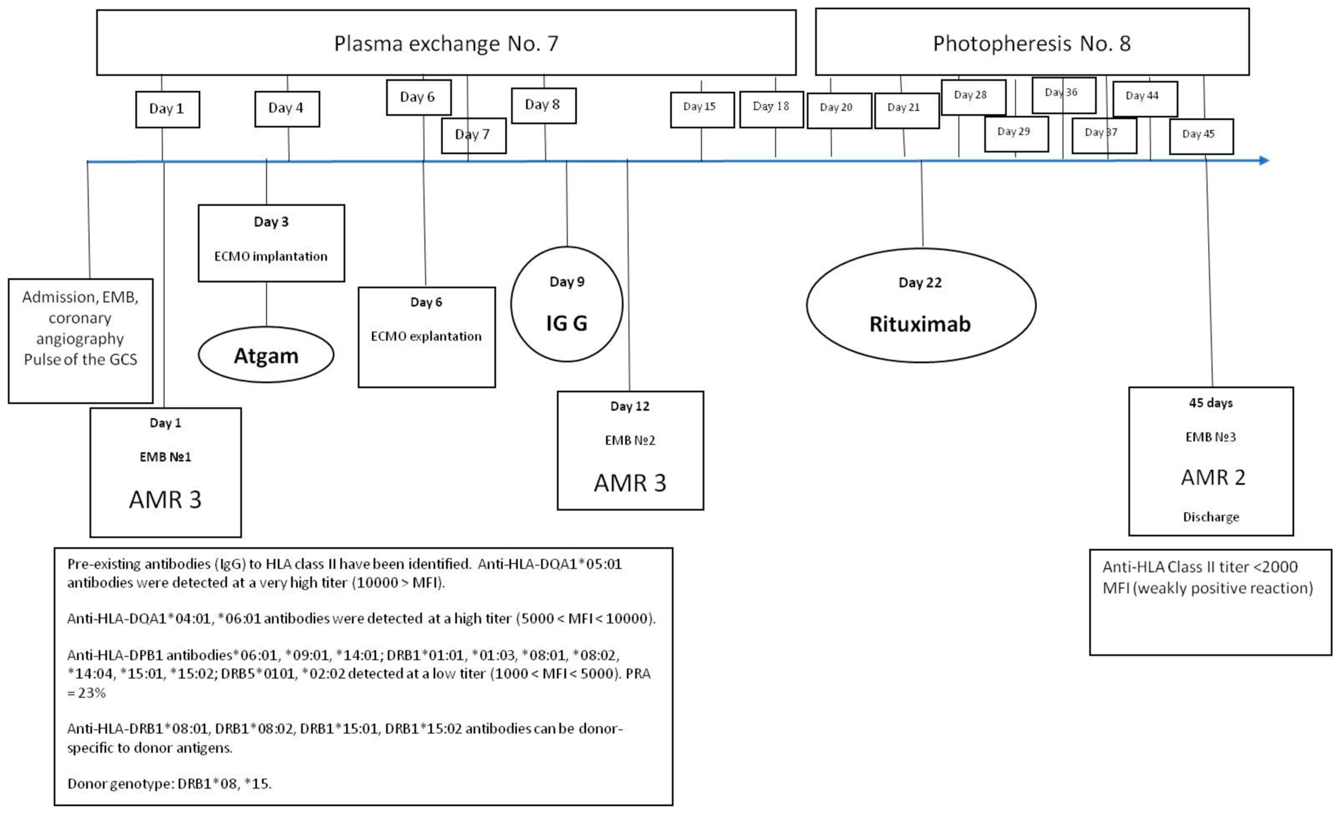 Transplantology 06 00029 g004 Transplantology 06 00029 g004