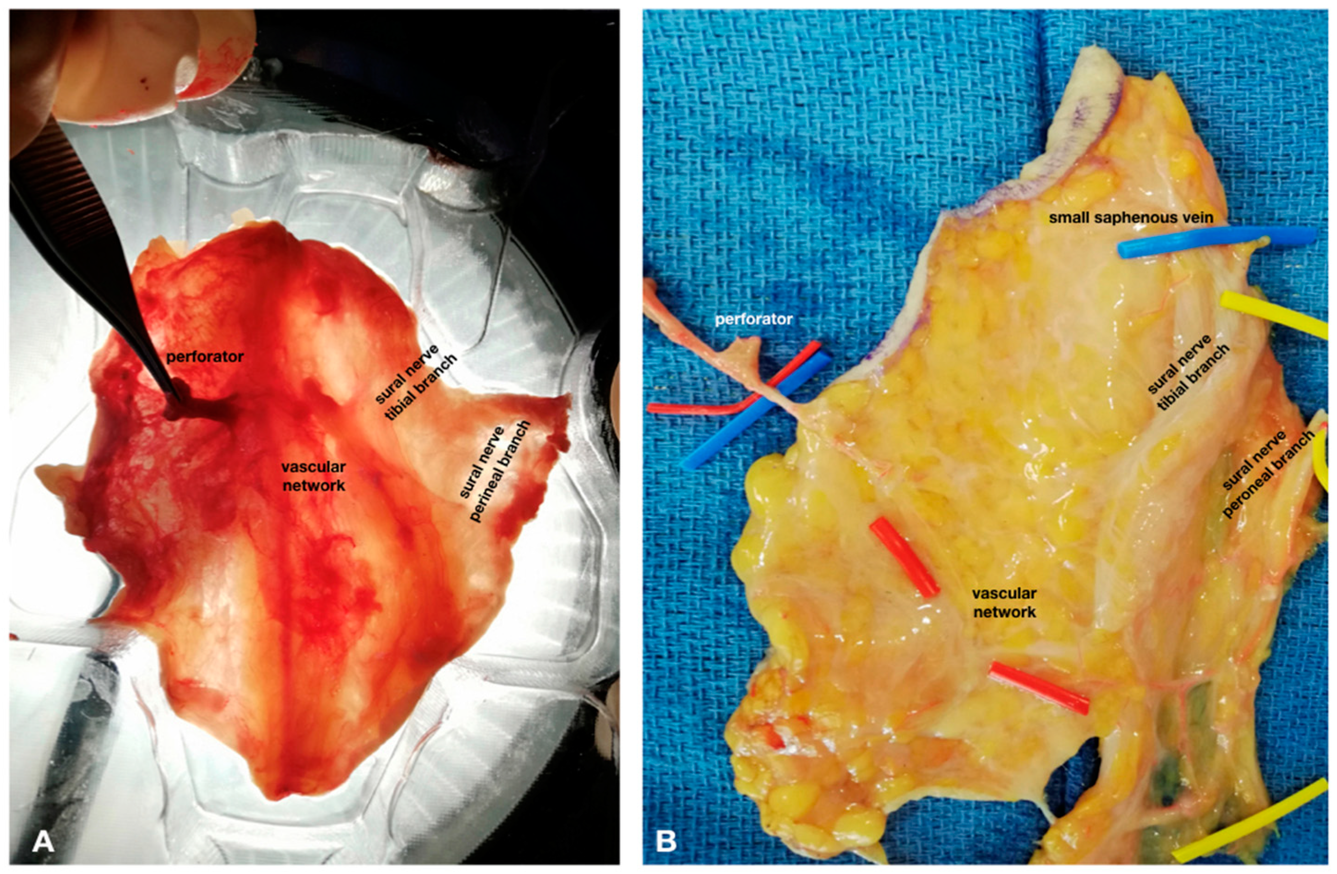Traumacare 01 00002 g001 Traumacare 01 00002 g001