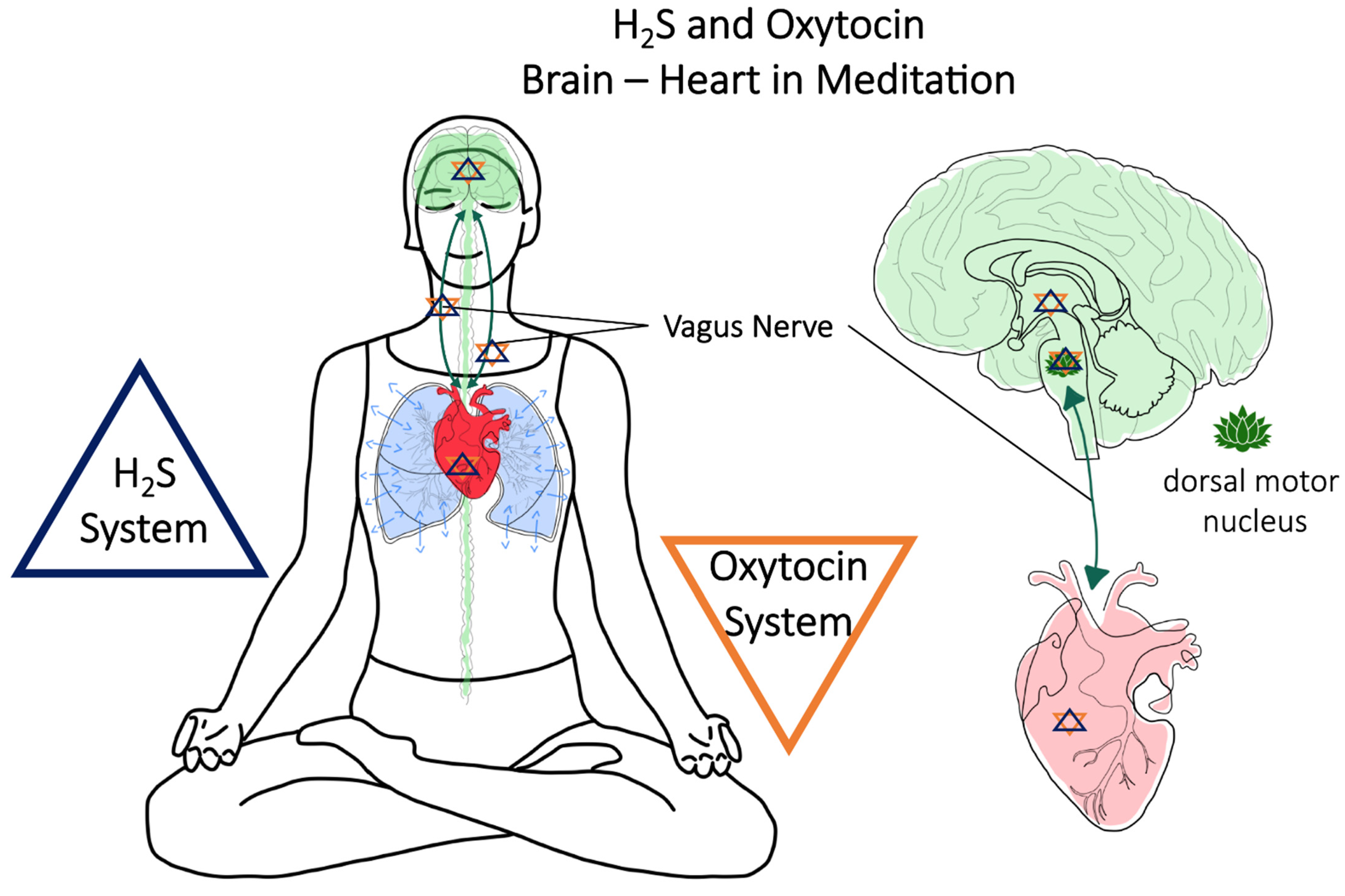 Traumacare 01 00016 g001