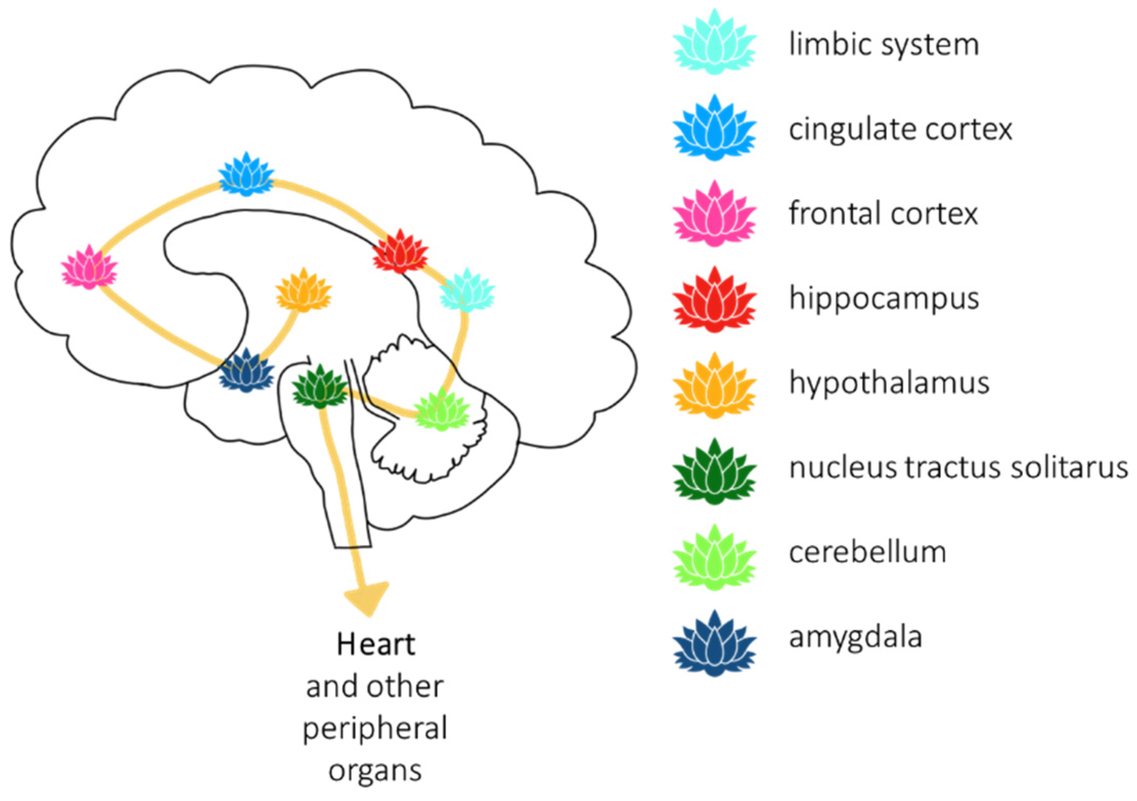 Traumacare 01 00016 g002