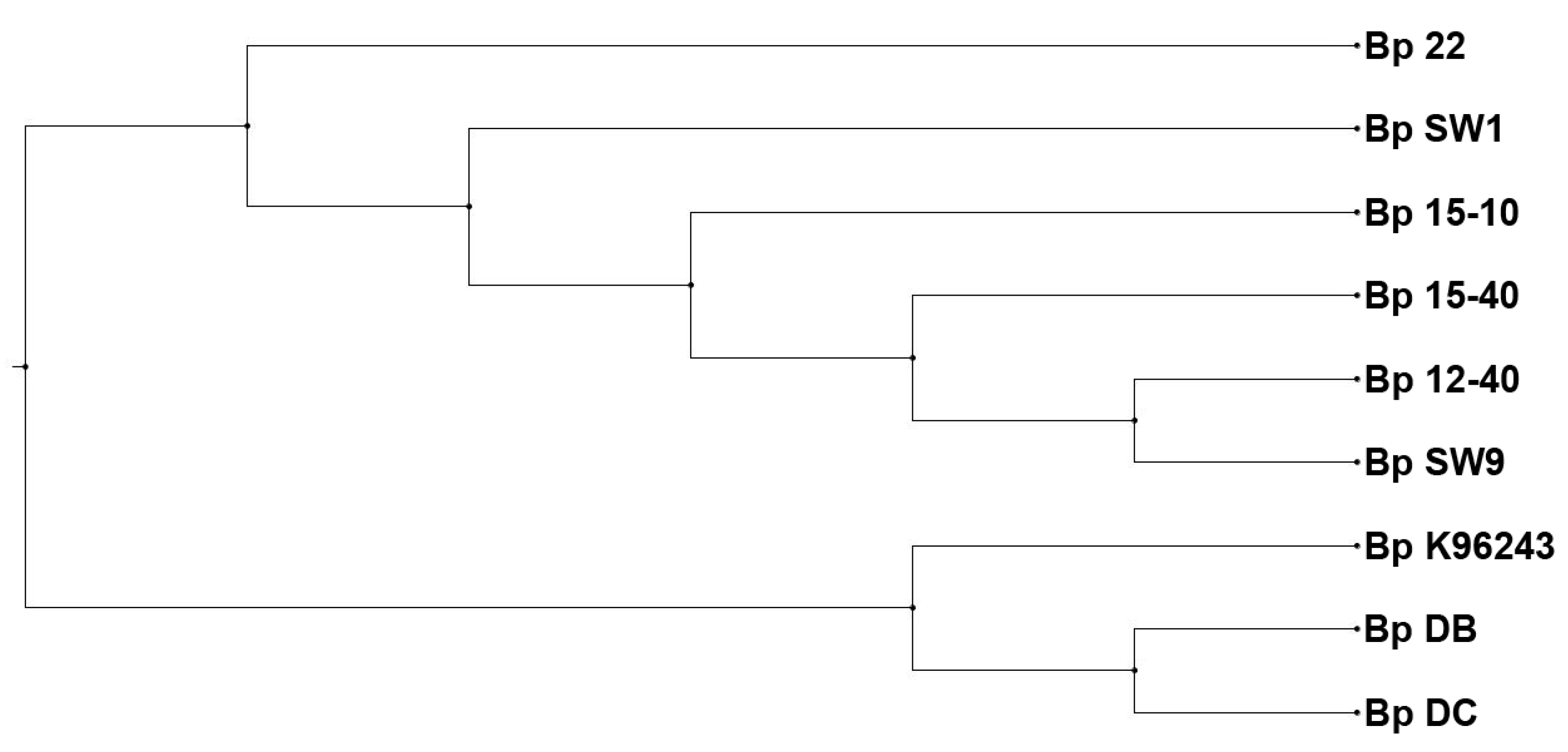 Tropicalmed 03 00031 g004 Tropicalmed 03 00031 g004