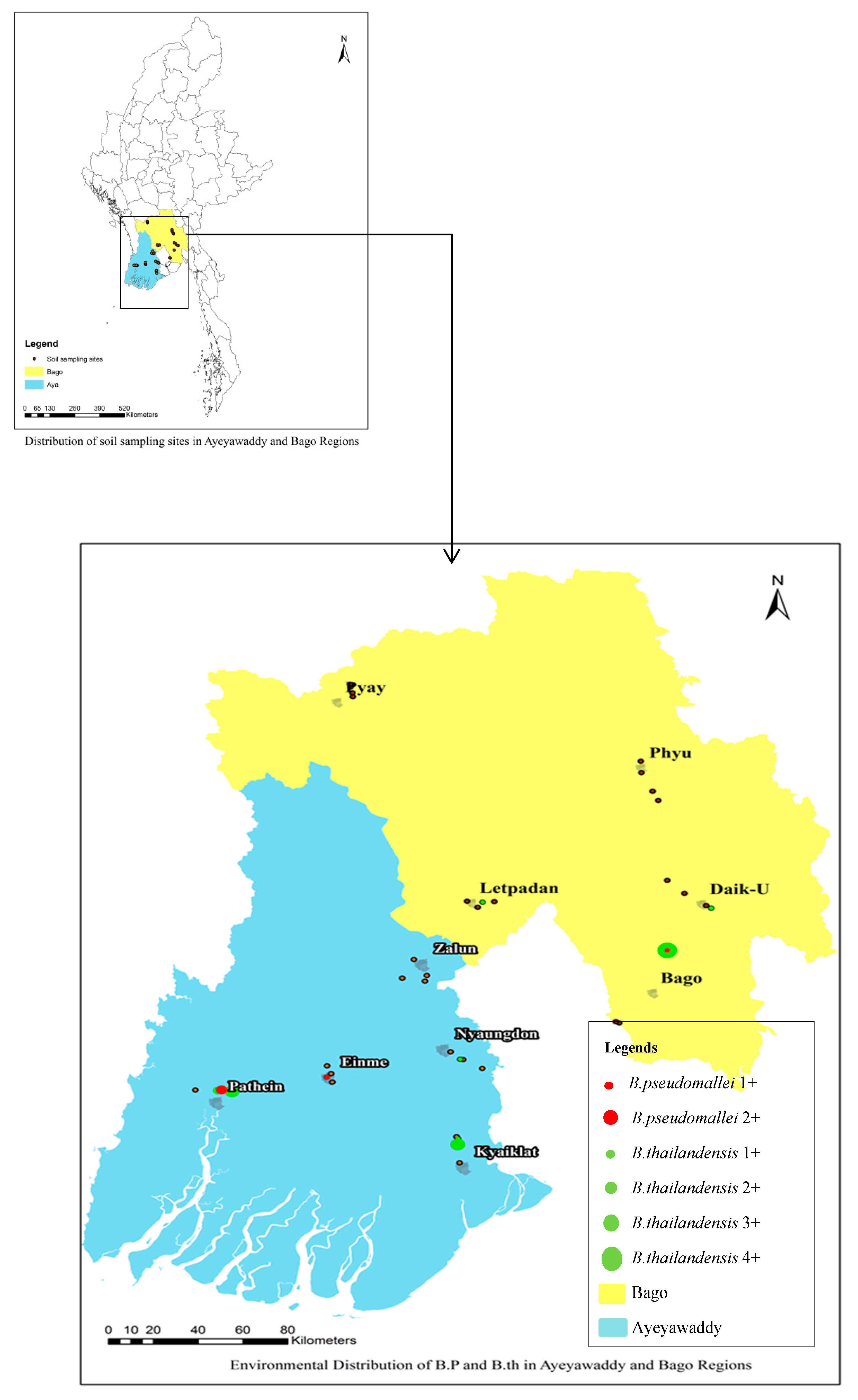 Tropicalmed 04 00008 g001 Tropicalmed 04 00008 g001