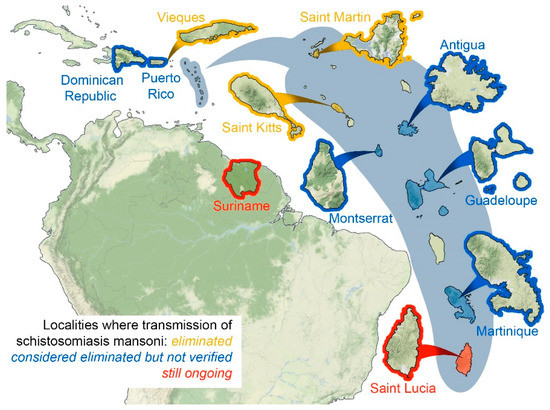 schistosomiasis jordan)
