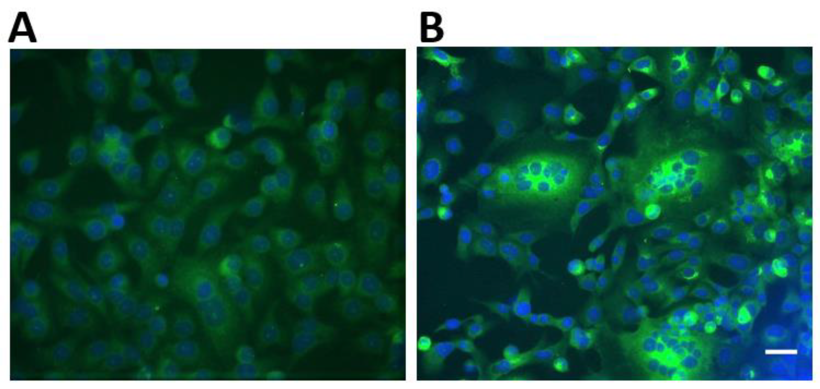 Tropicalmed 04 00034 g002