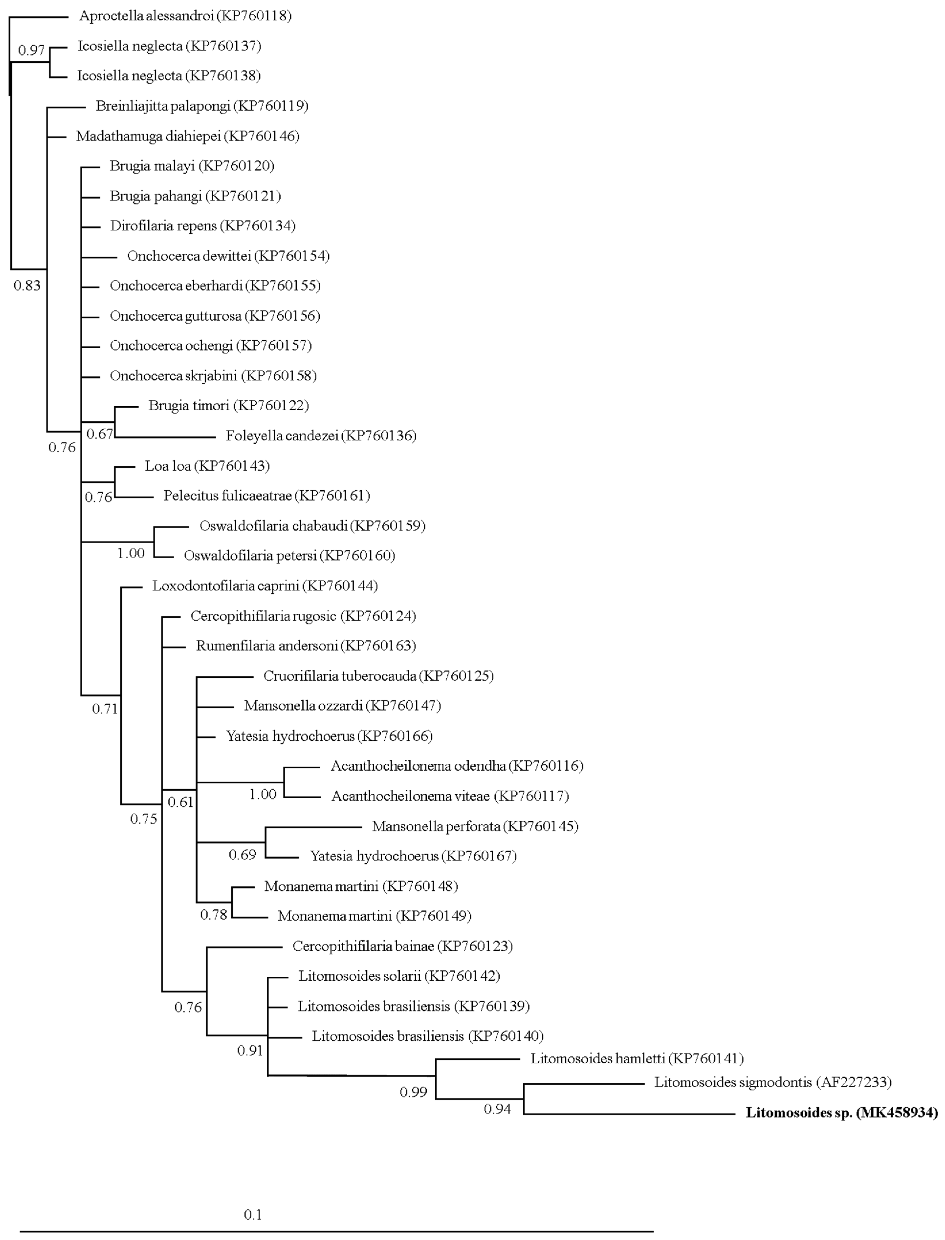 Tropicalmed 04 00077 g002