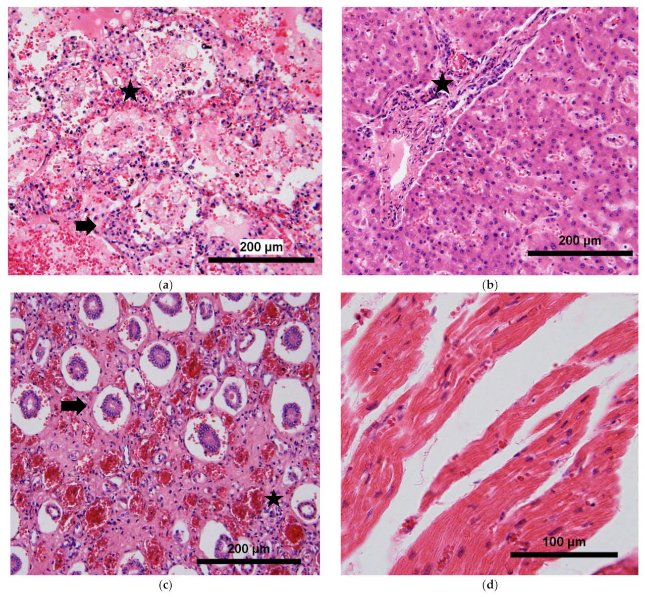 Tropicalmed 04 00084 g001