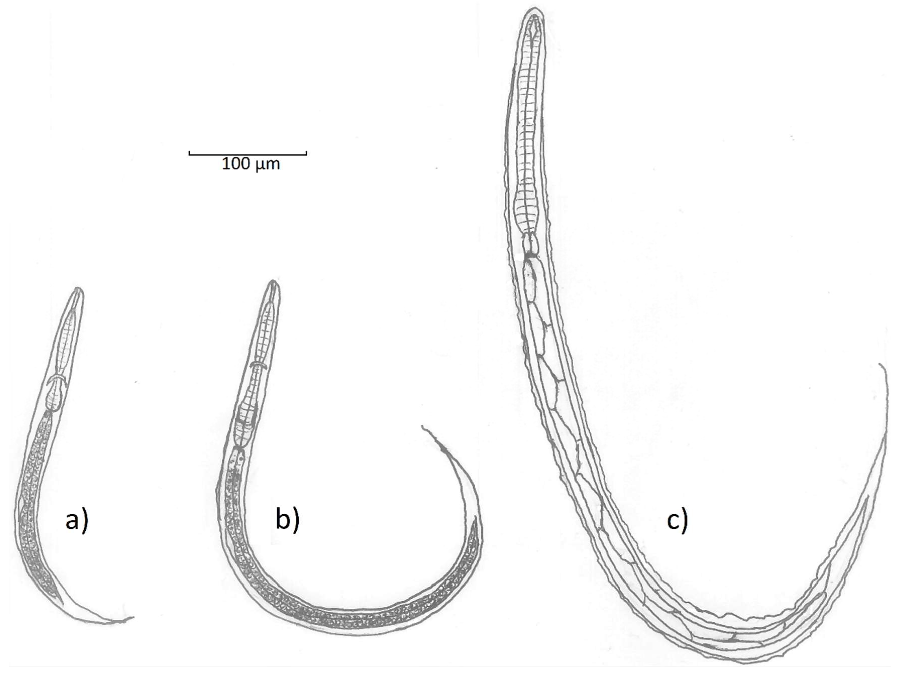 Tropicalmed 04 00106 g004