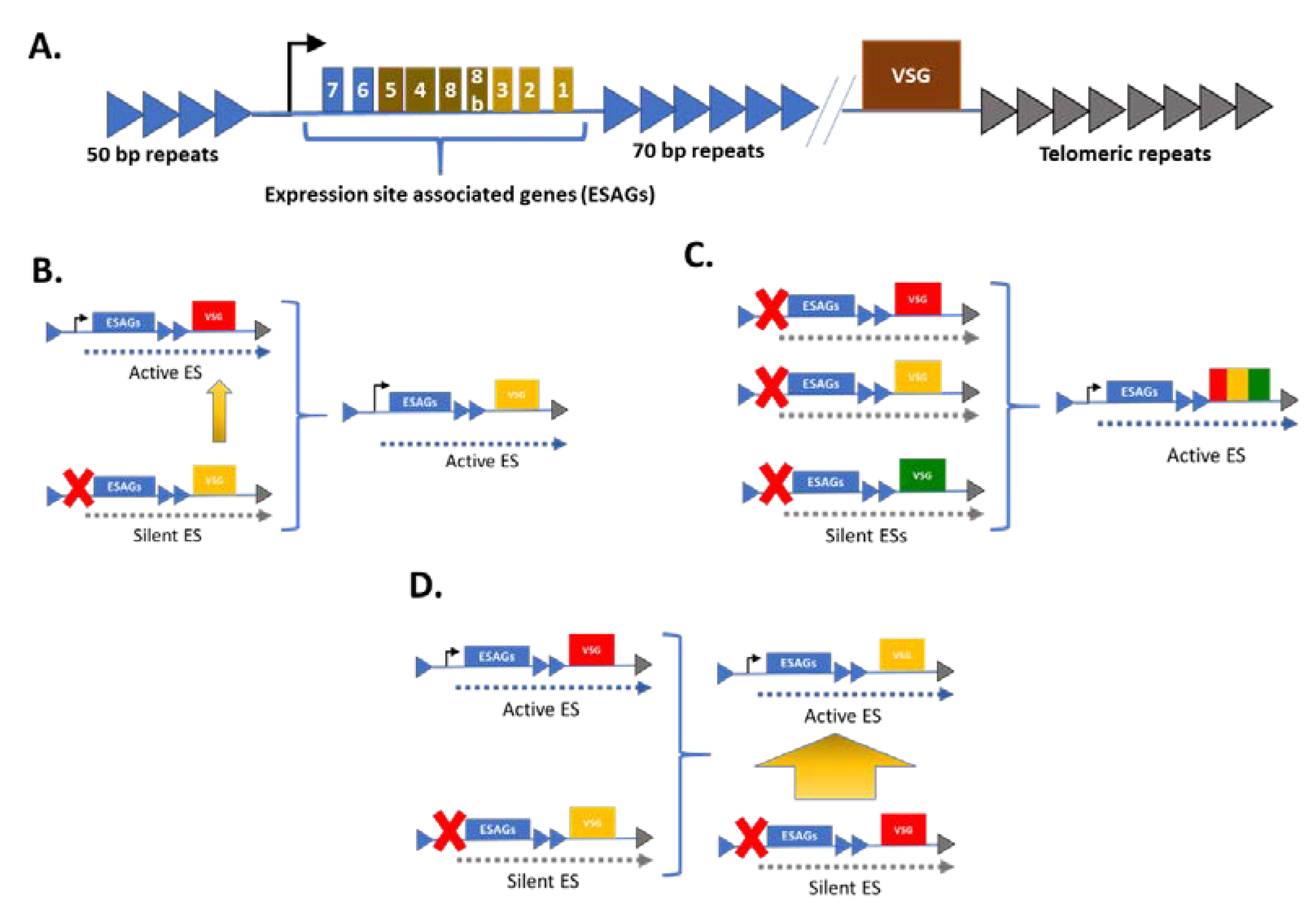Tropicalmed 04 00126 g002 Tropicalmed 04 00126 g002
