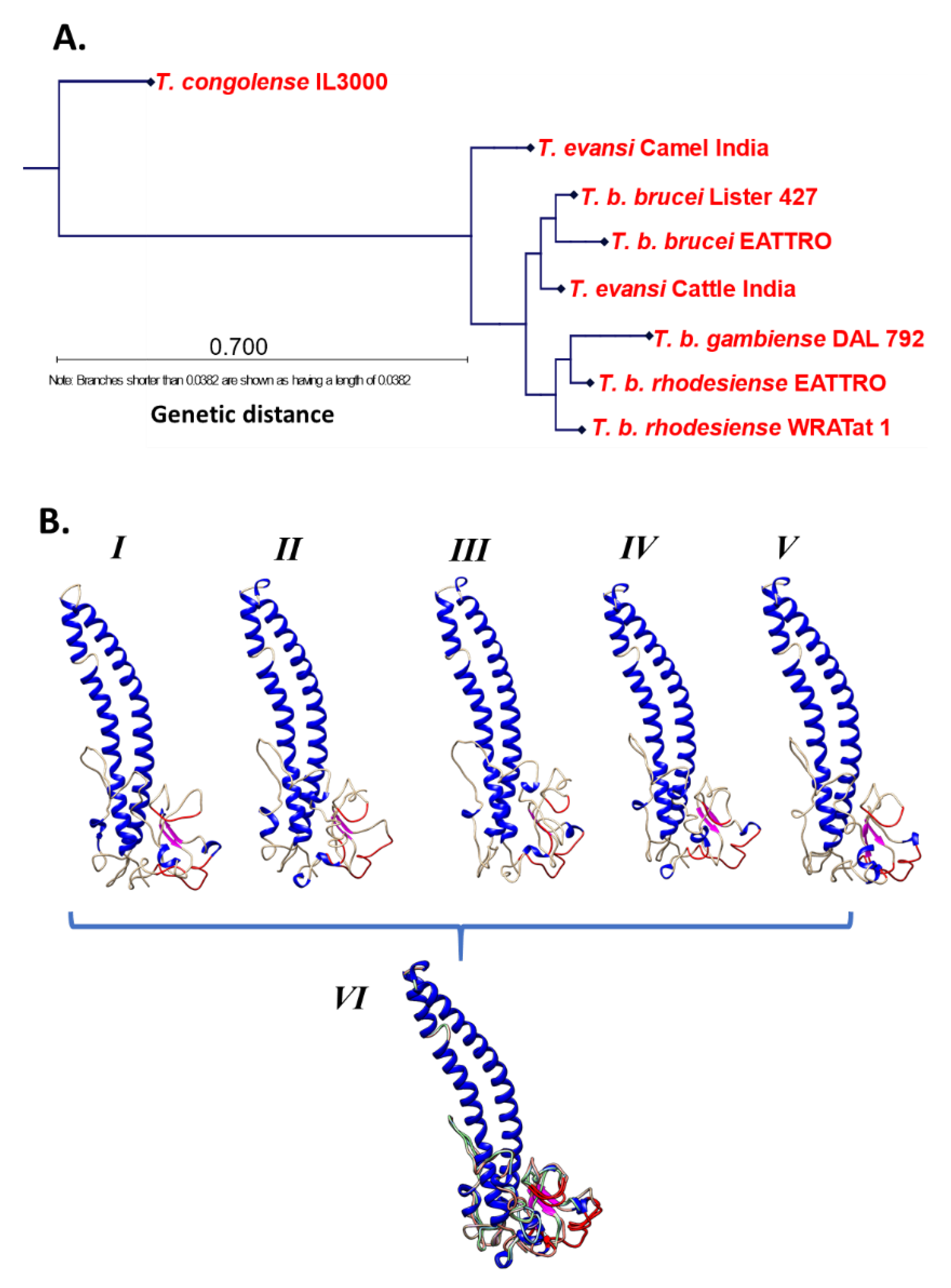 Tropicalmed 04 00126 g005 Tropicalmed 04 00126 g005