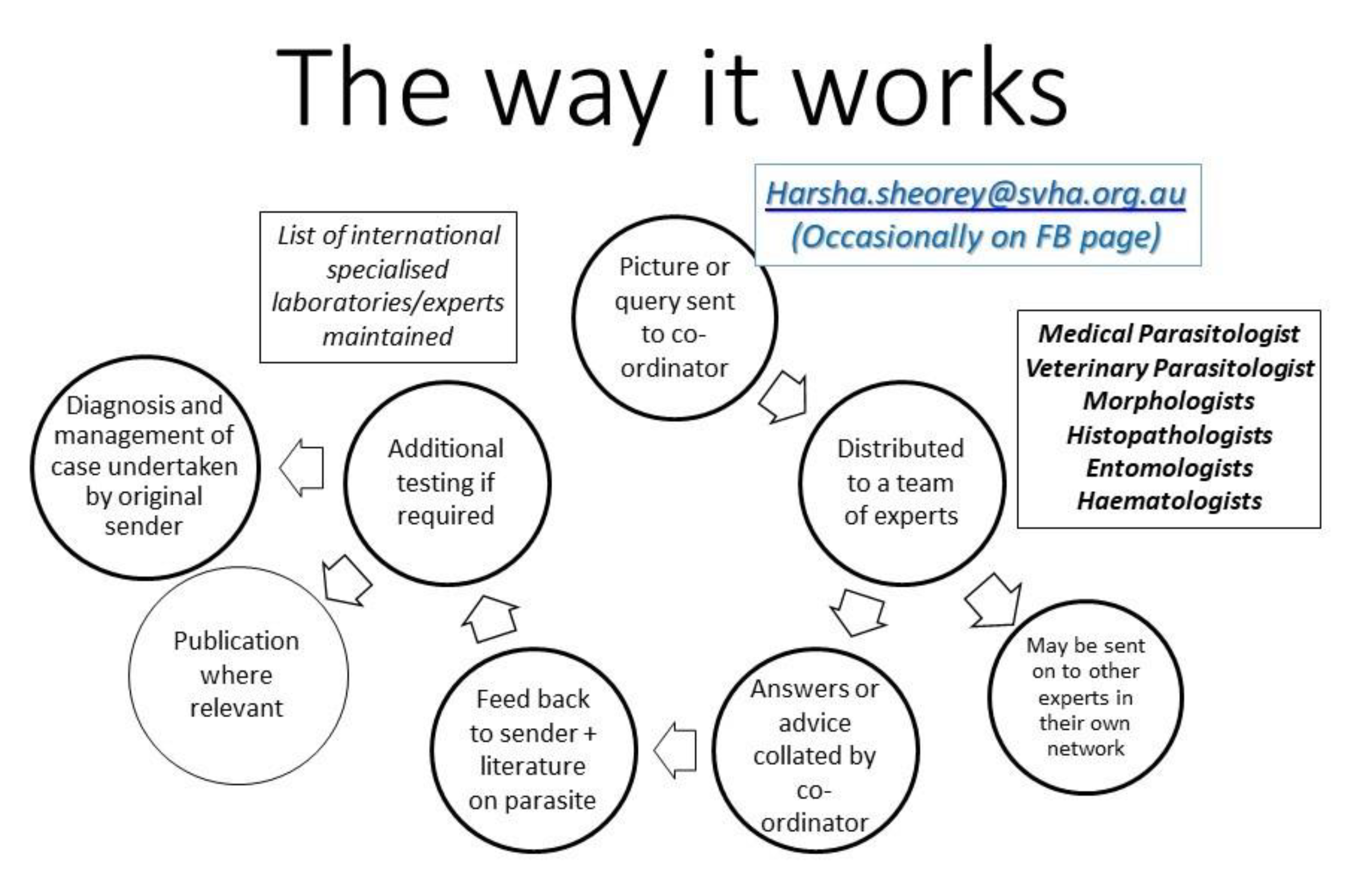 Tropicalmed 05 00008 g002 Tropicalmed 05 00008 g002