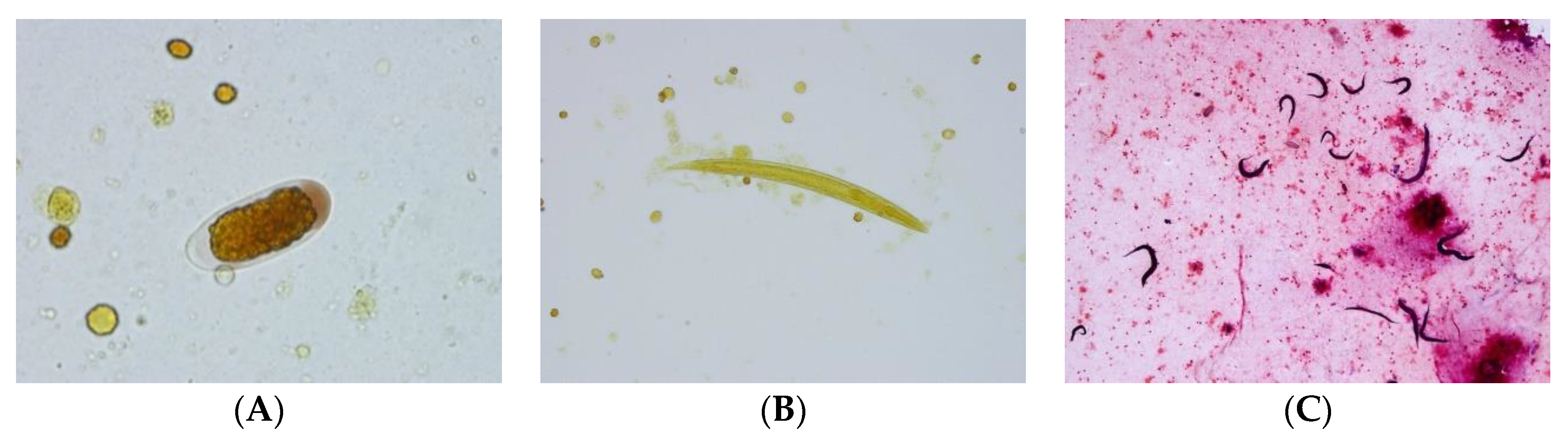 Tropicalmed 05 00008 g005 Tropicalmed 05 00008 g005