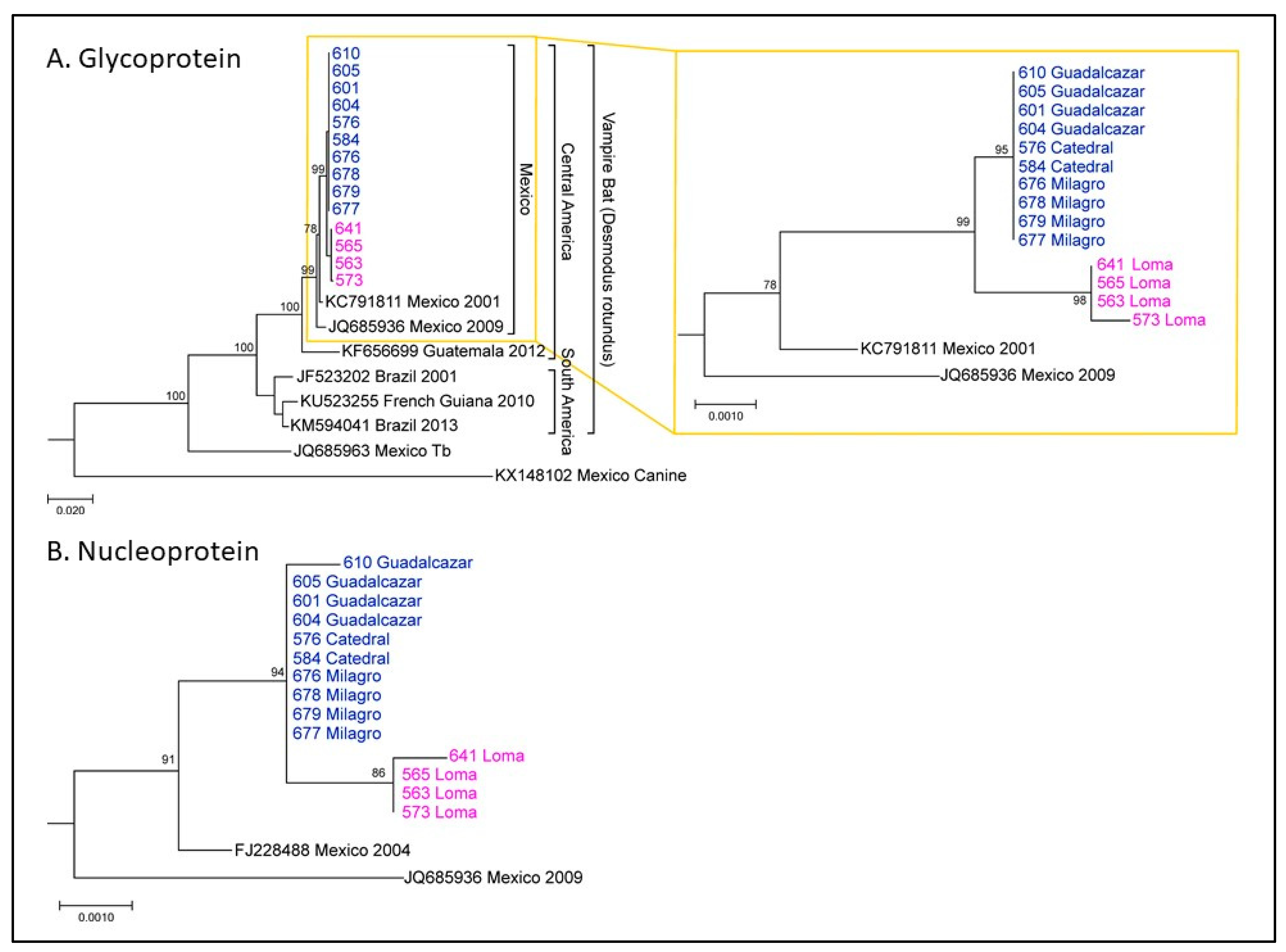 Tropicalmed 05 00034 g003