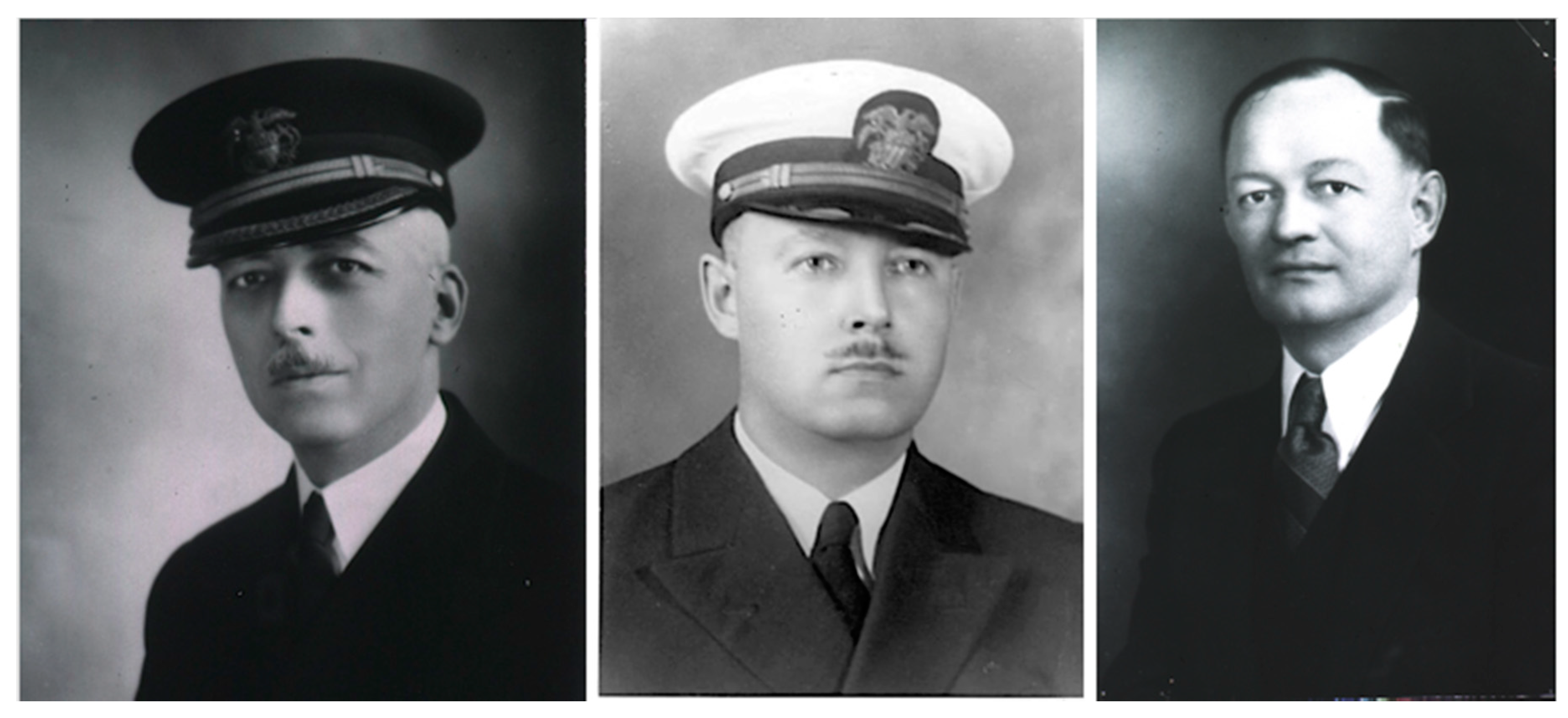 Tropicalmed 05 00037 g002 Tropicalmed 05 00037 g002