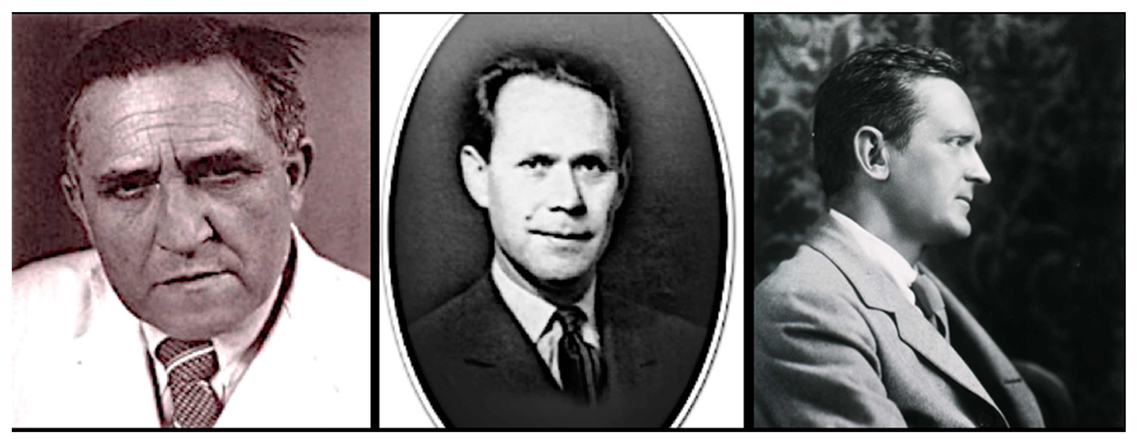 Tropicalmed 05 00037 g003 Tropicalmed 05 00037 g003