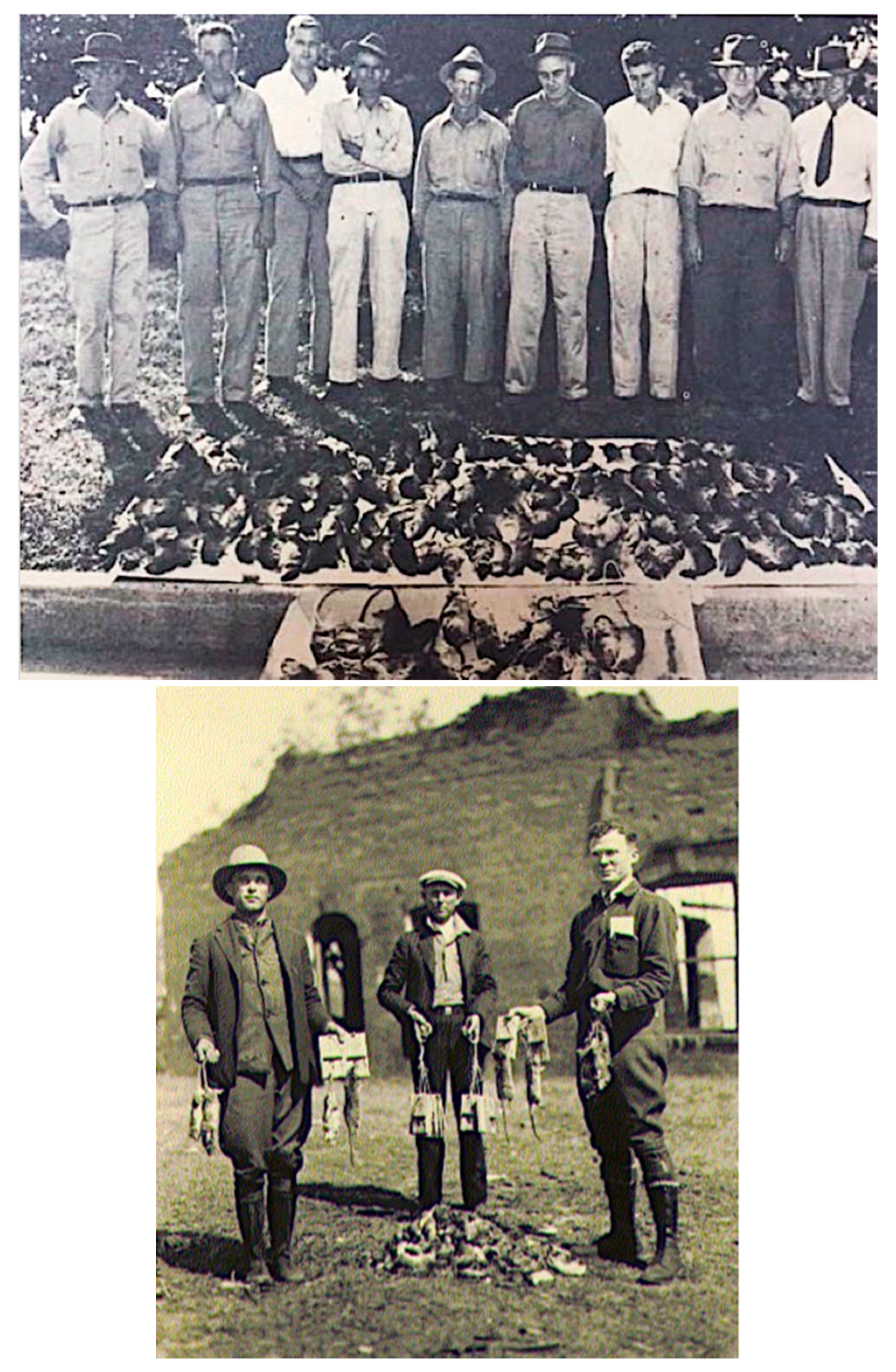 Tropicalmed 05 00037 g004 Tropicalmed 05 00037 g004