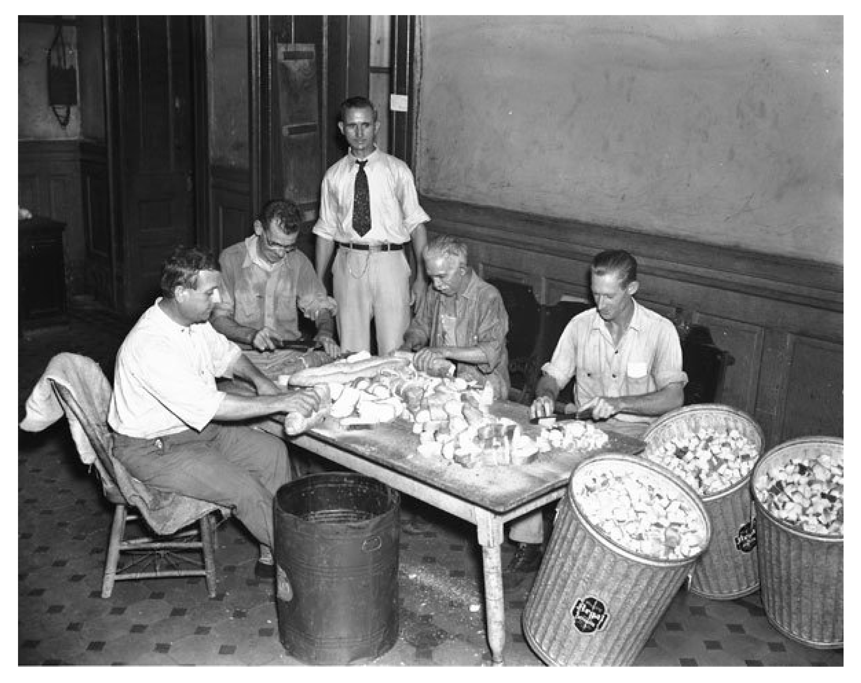 Tropicalmed 05 00037 g005 Tropicalmed 05 00037 g005