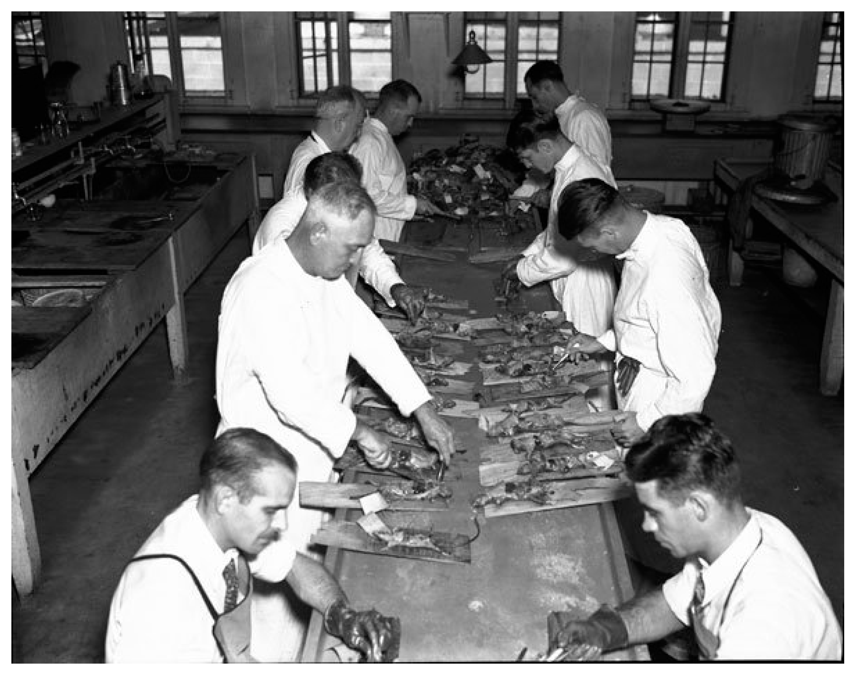 Tropicalmed 05 00037 g006 Tropicalmed 05 00037 g006