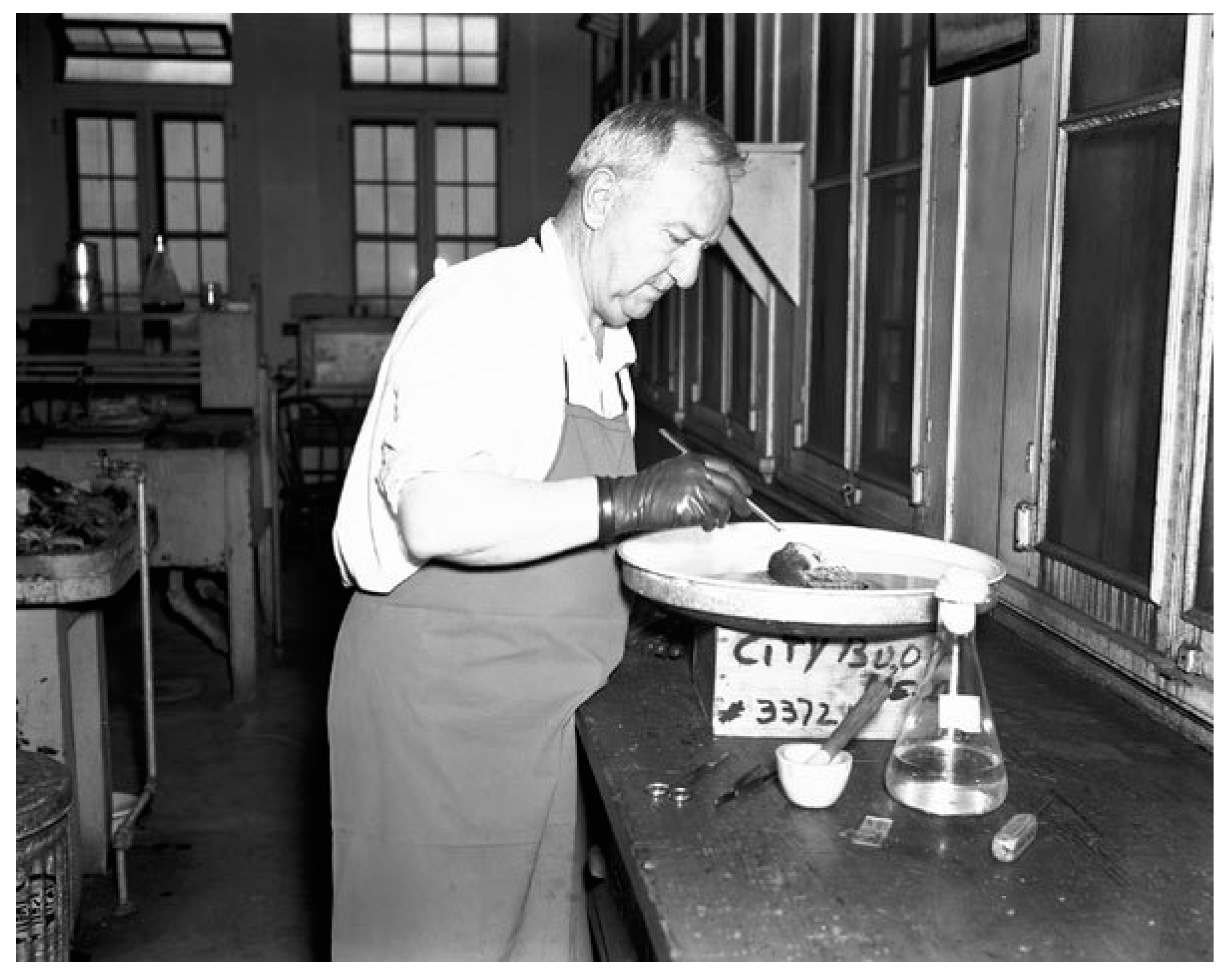 Tropicalmed 05 00037 g007 Tropicalmed 05 00037 g007