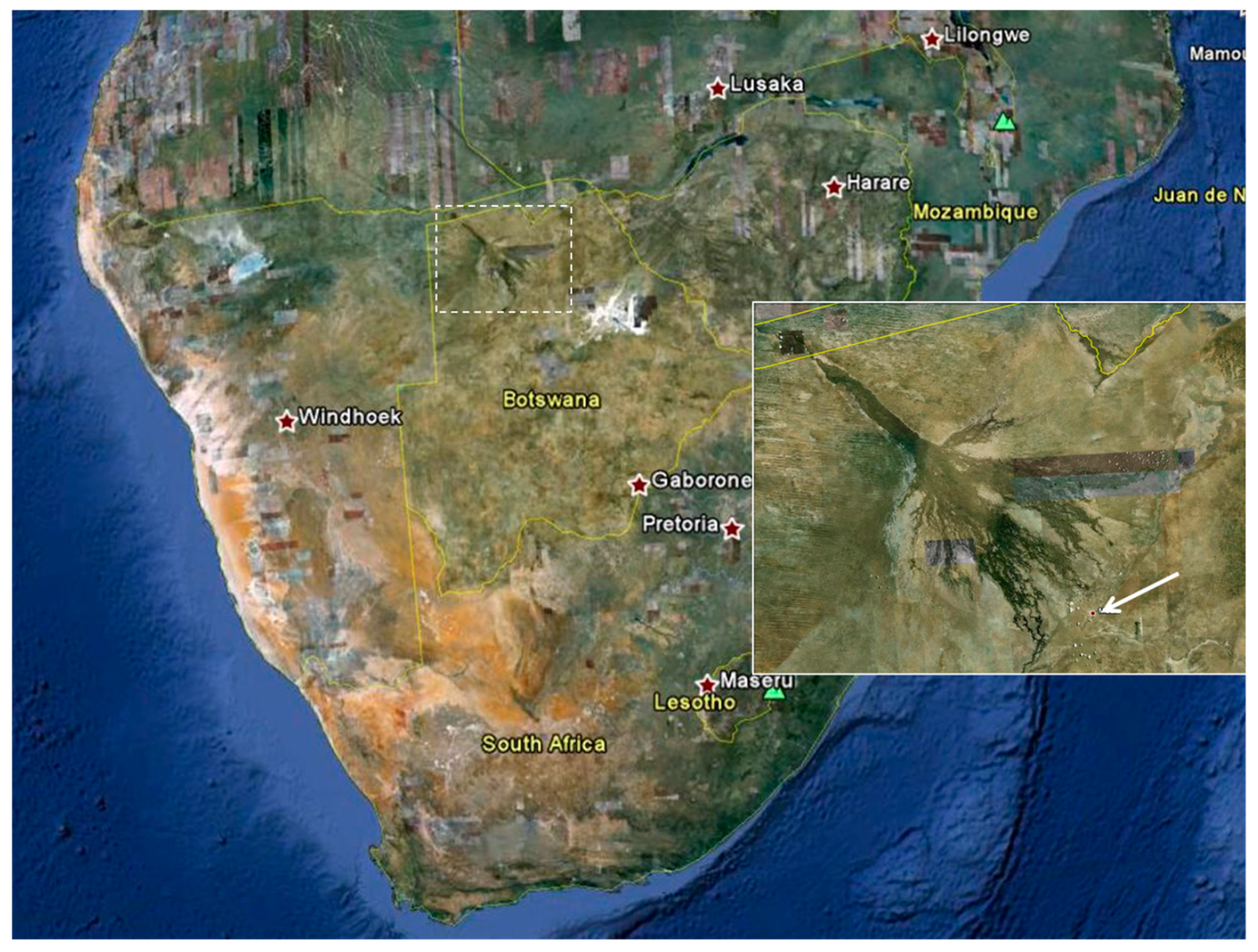 Tropicalmed 05 00039 g002