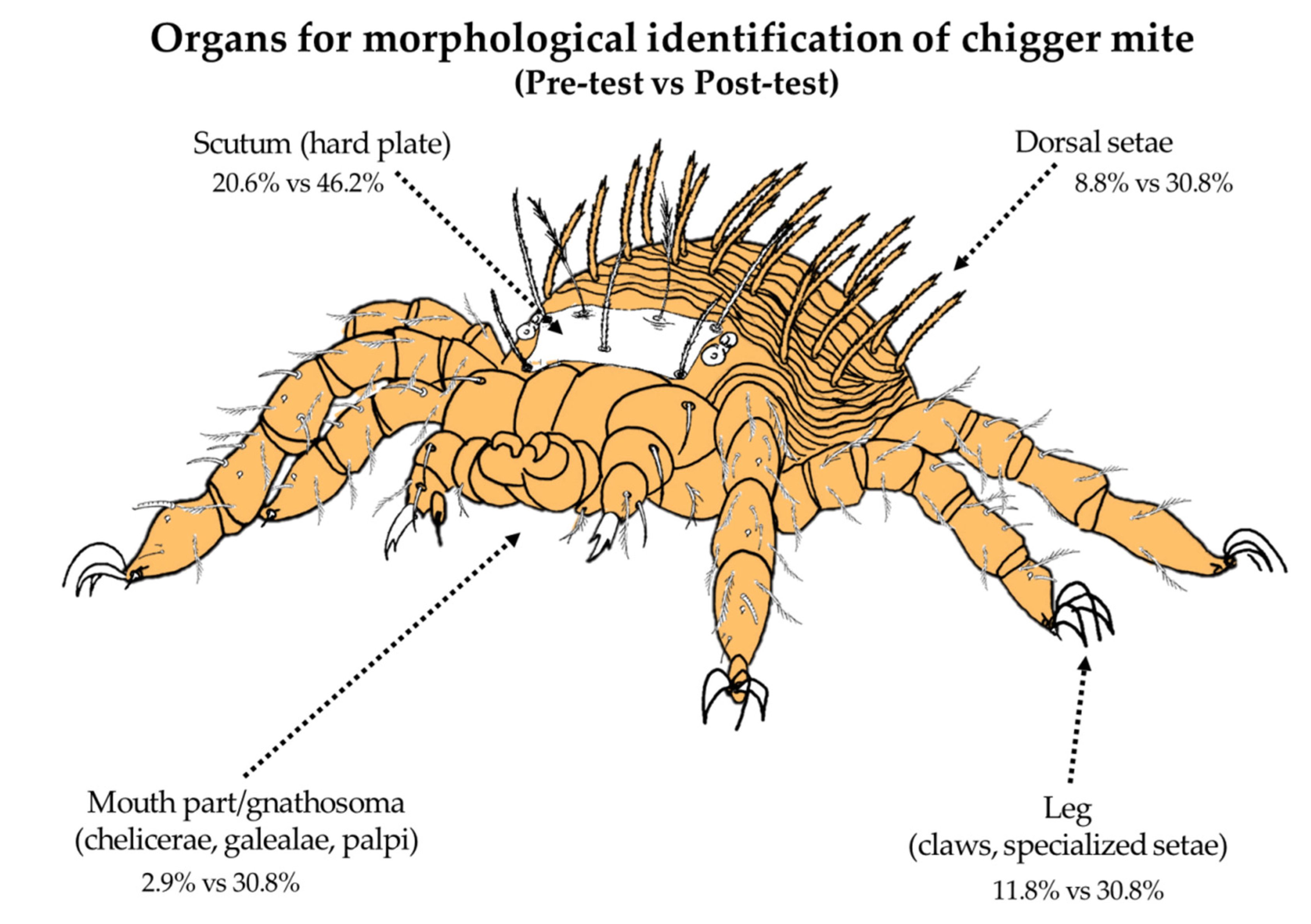 Tropicalmed 05 00055 g002