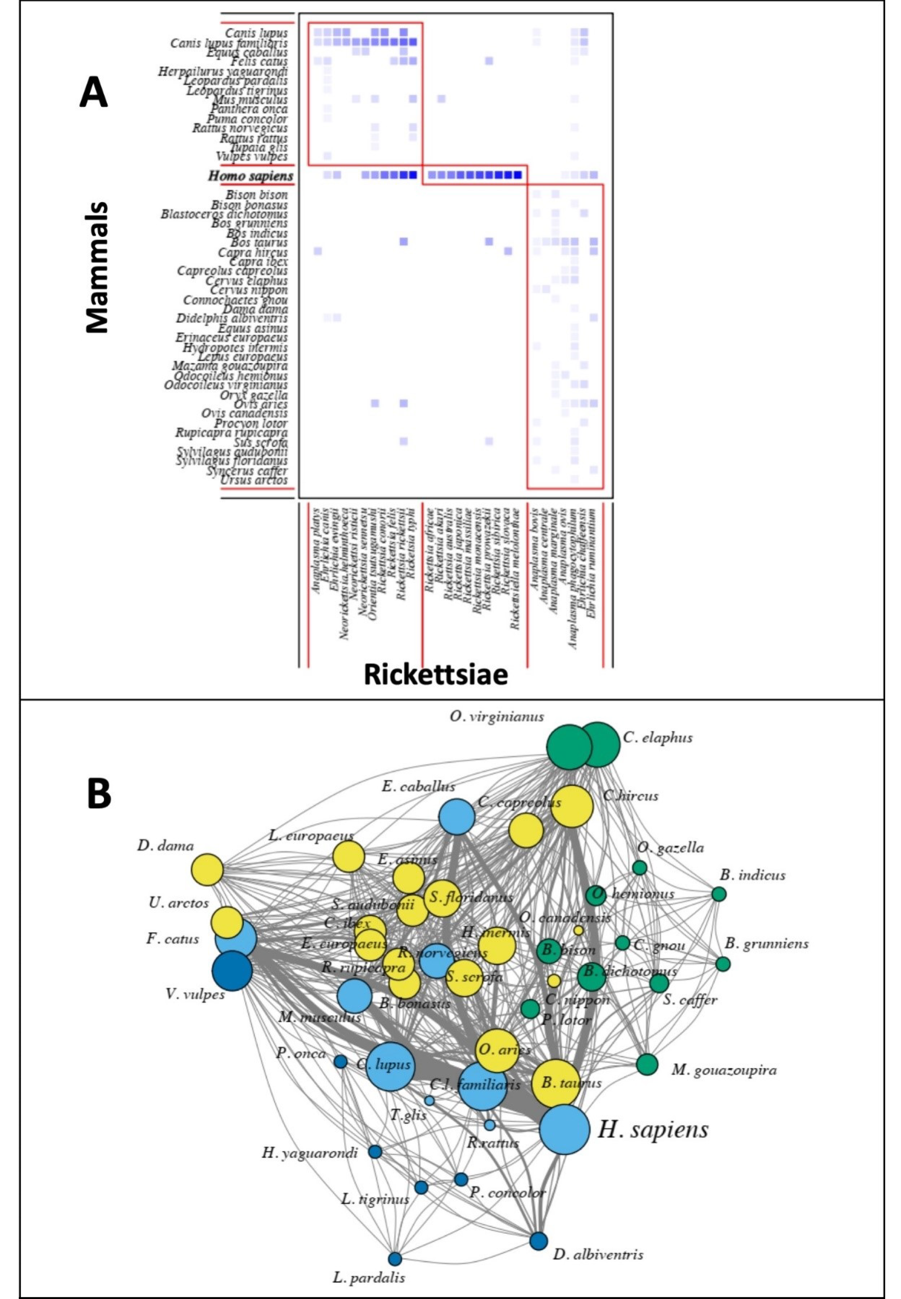 Tropicalmed 05 00064 g005 Tropicalmed 05 00064 g005