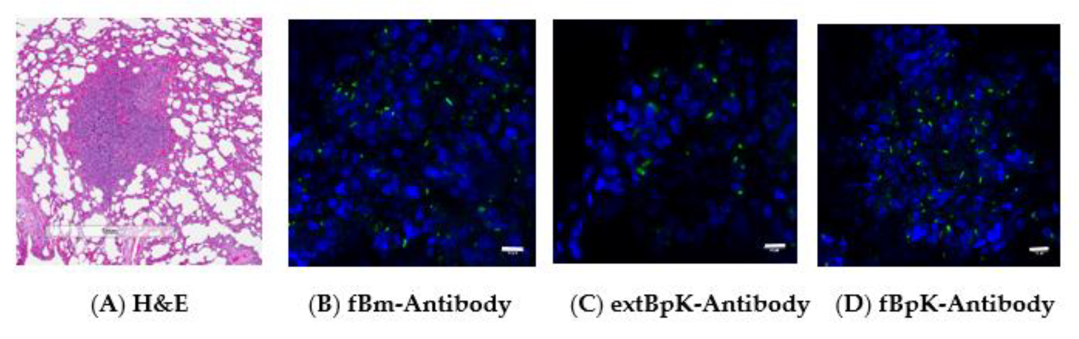 Tropicalmed 05 00065 g006 Tropicalmed 05 00065 g006