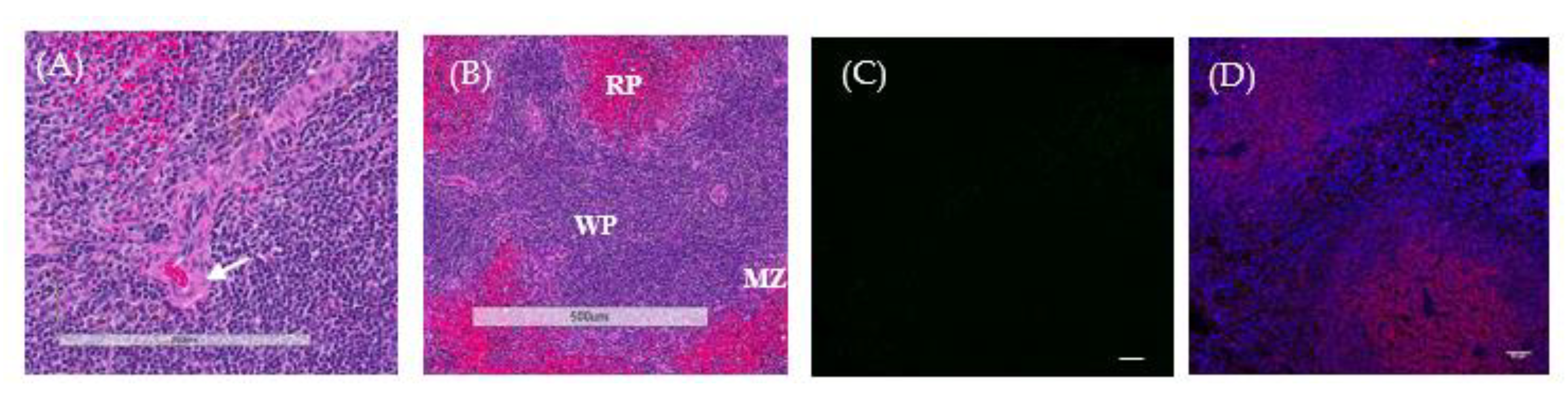 Tropicalmed 05 00065 g0a1 Tropicalmed 05 00065 g0a1