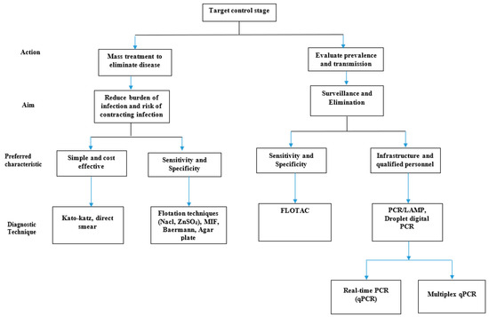 Helminth disease in humans