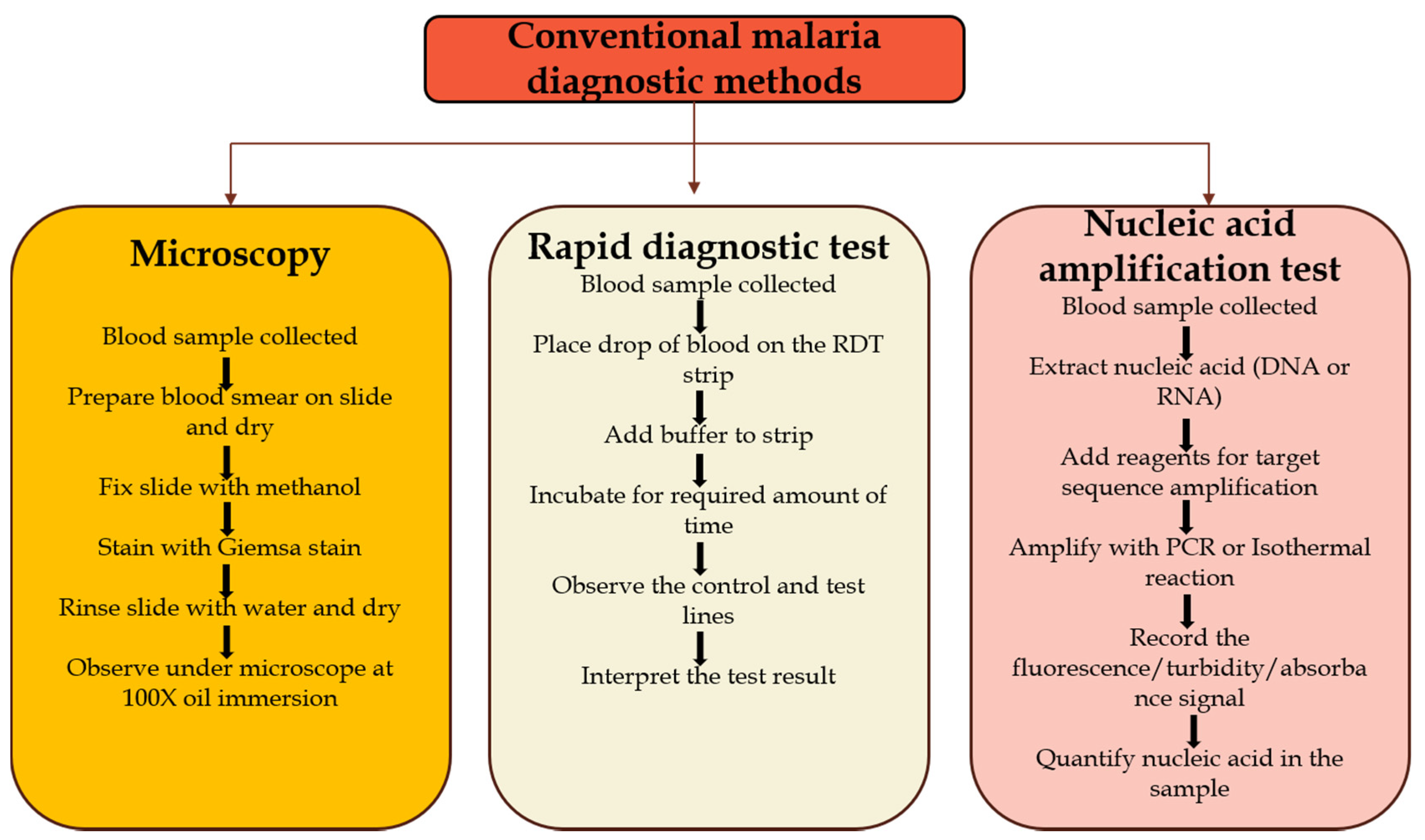 tropicalmed-free-full-text-evaluation-of-malaria-diagnostic-methods