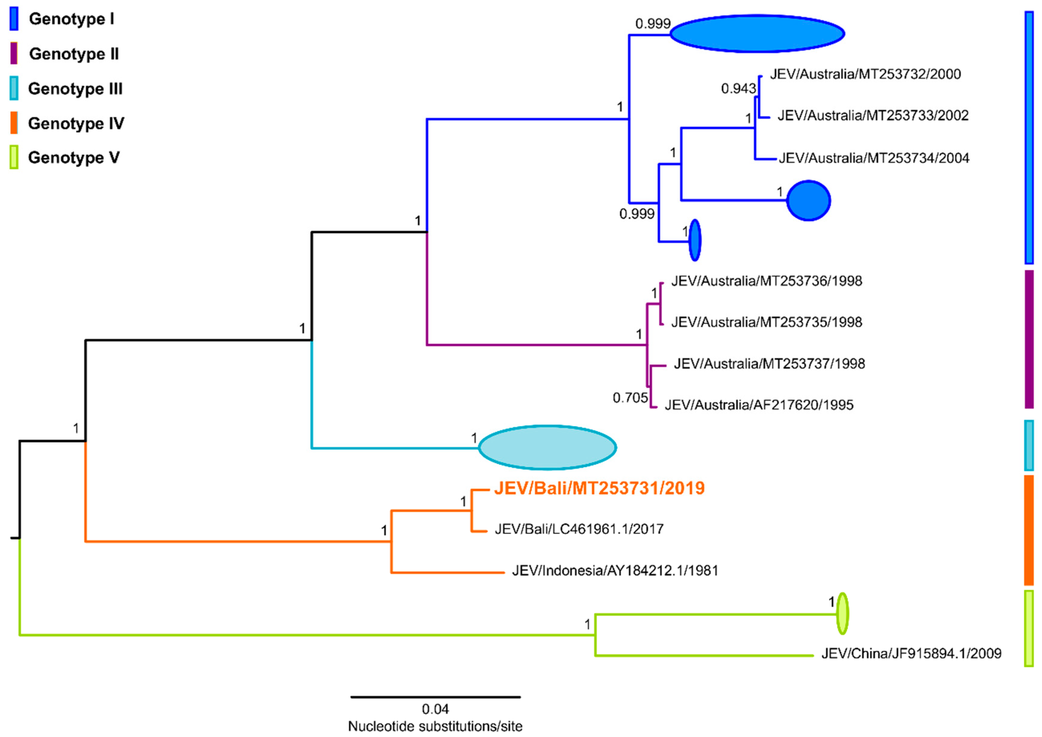 Tropicalmed 05 00133 g003