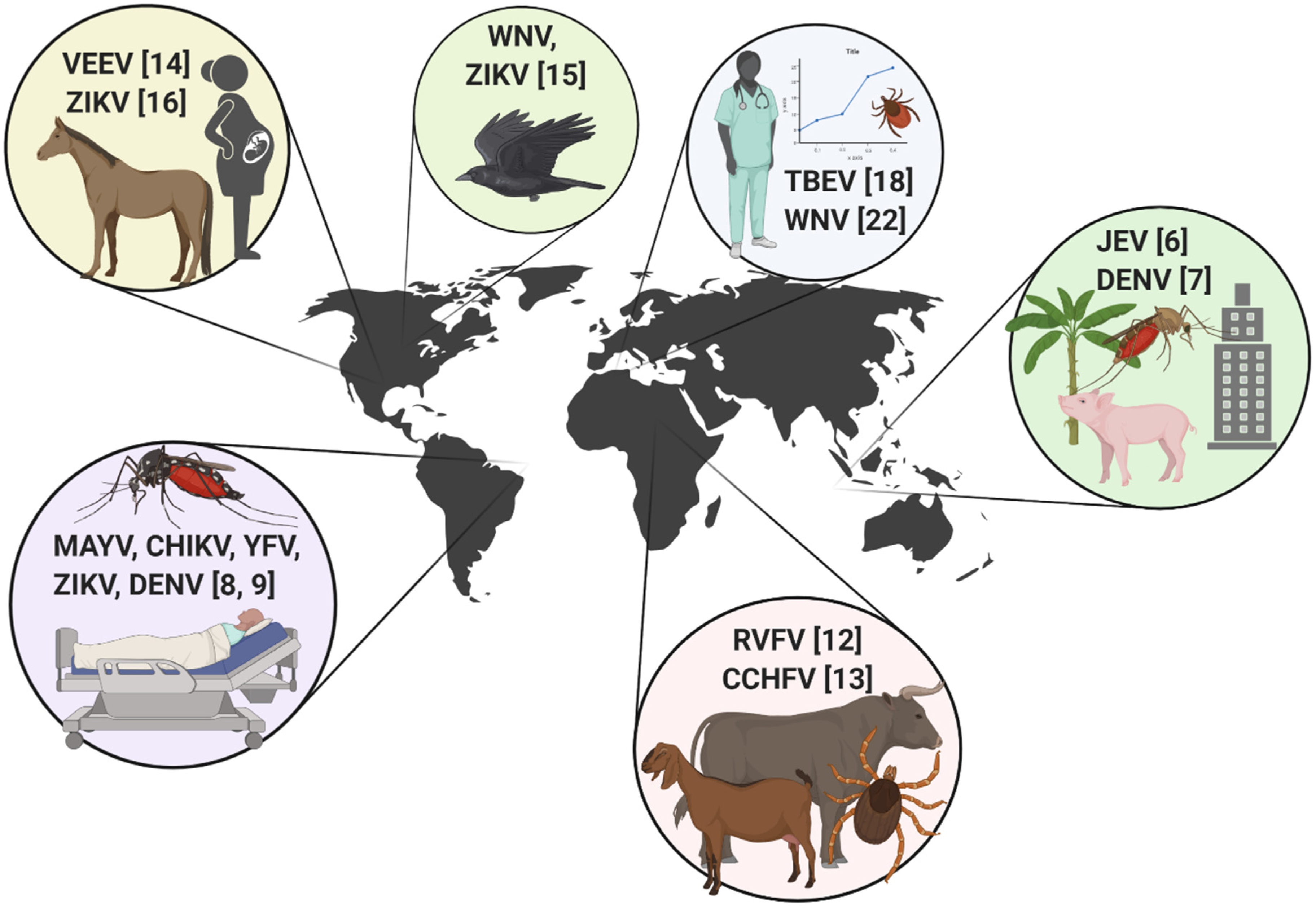 Tropicalmed 05 00142 g001 Tropicalmed 05 00142 g001