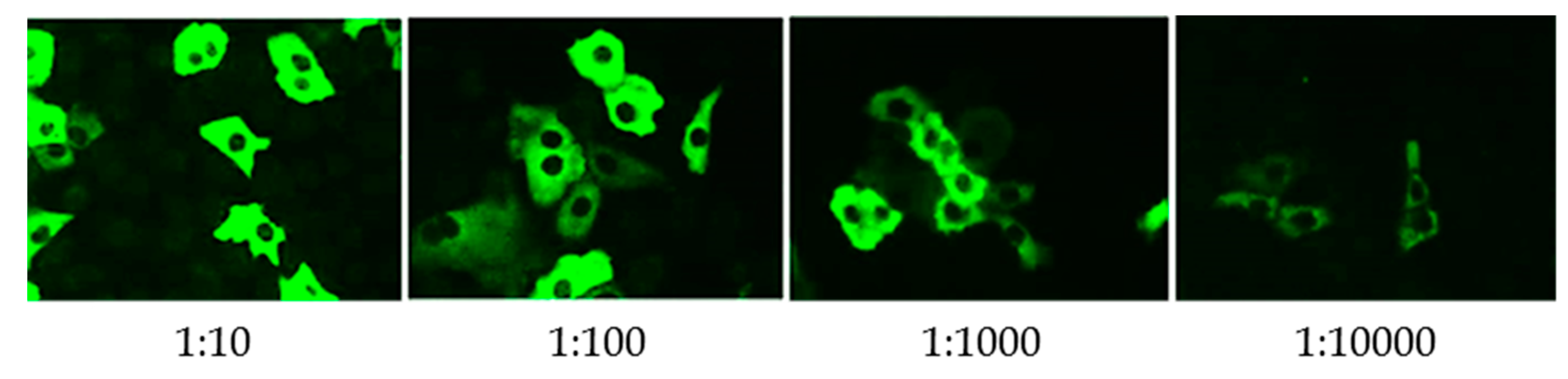 Tropicalmed 05 00144 g001 Tropicalmed 05 00144 g001