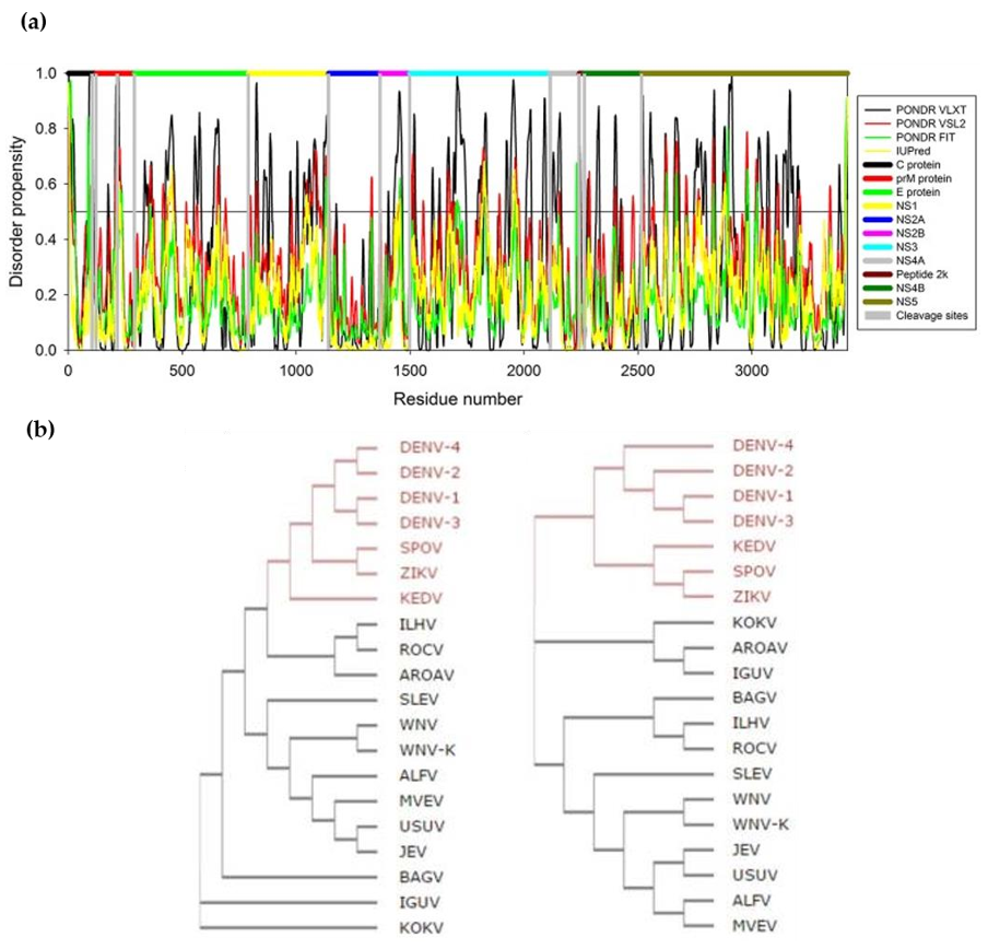 Tropicalmed 05 00150 g003