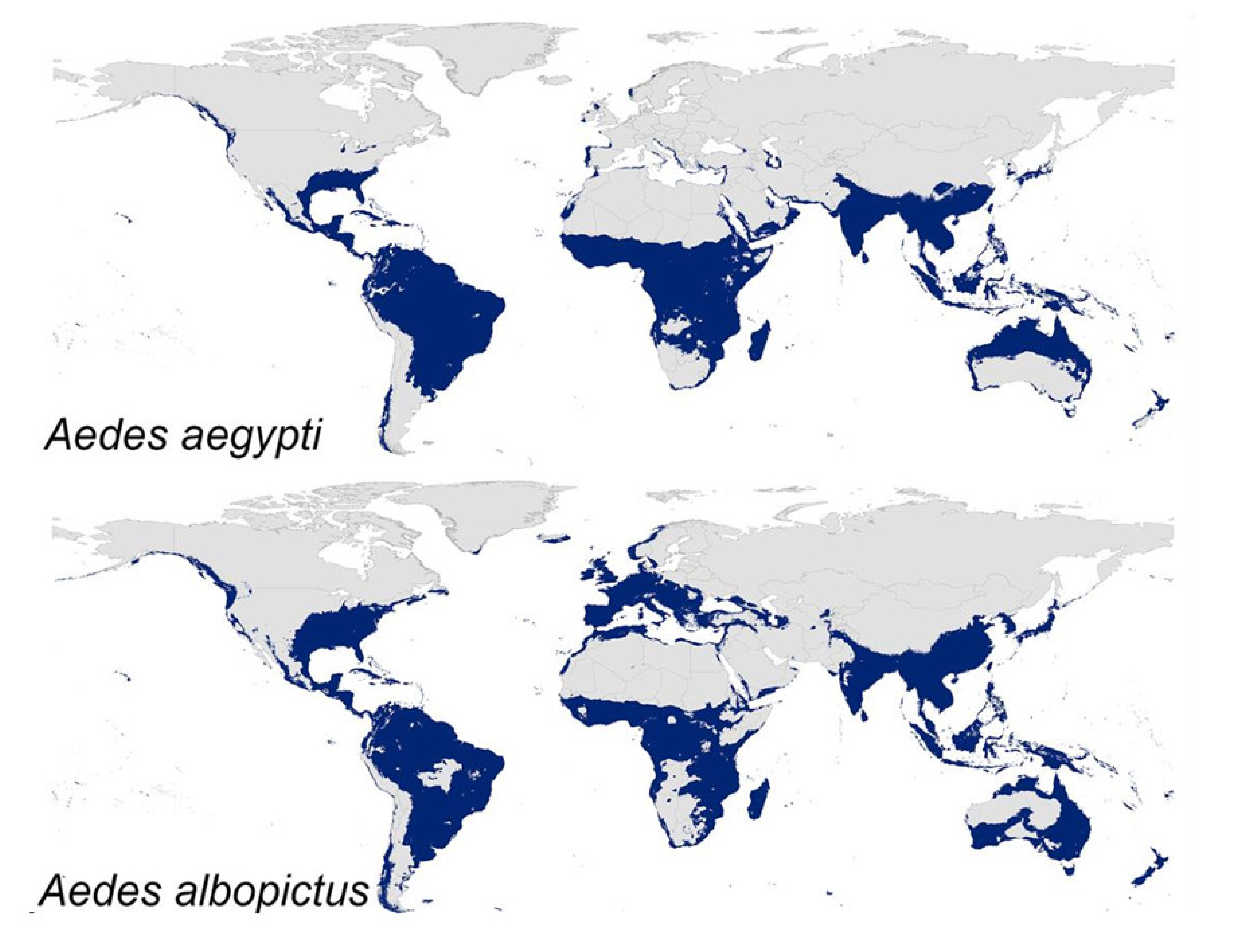 Tropicalmed 05 00150 g008