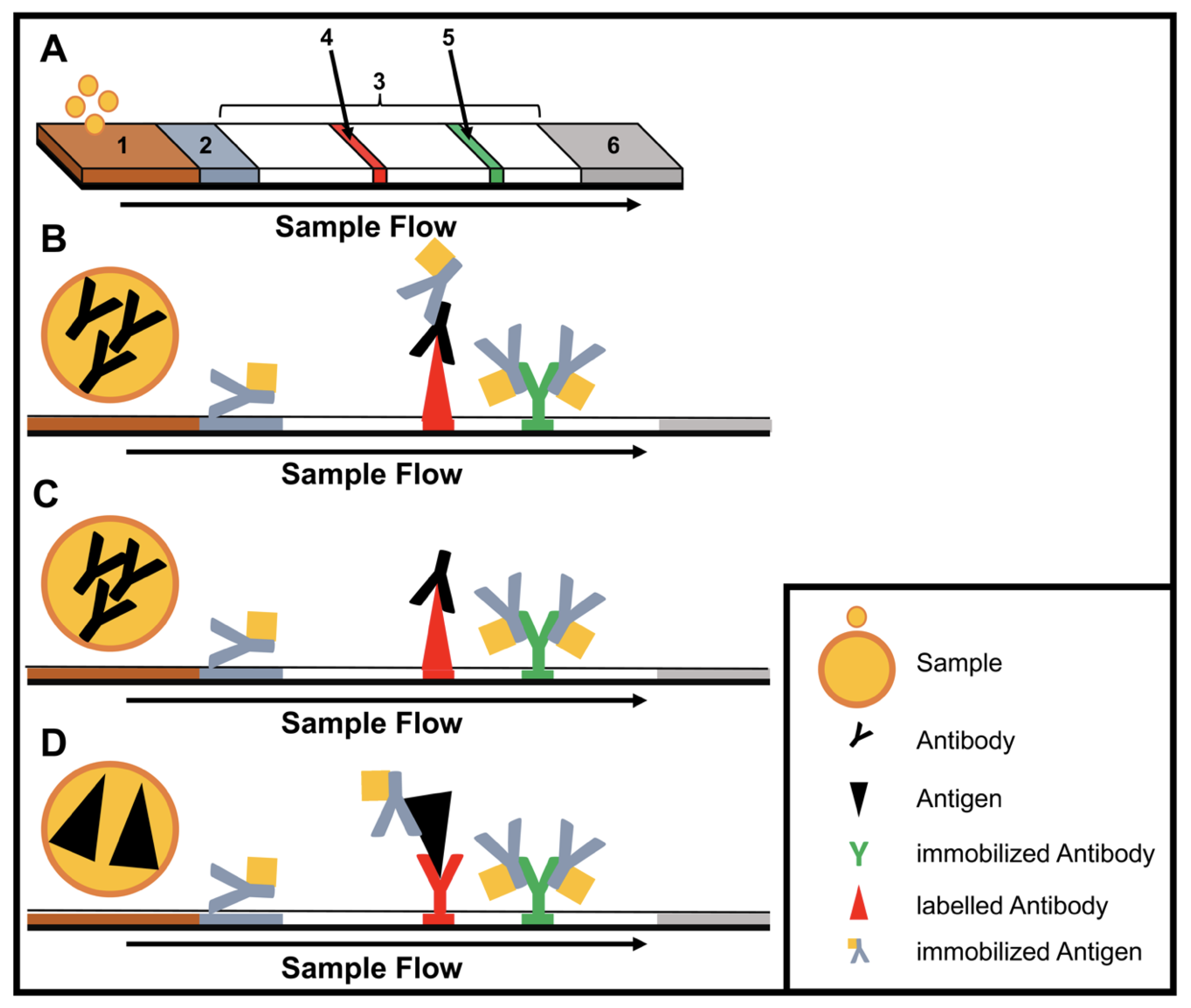 Tropicalmed 05 00151 g001 Tropicalmed 05 00151 g001
