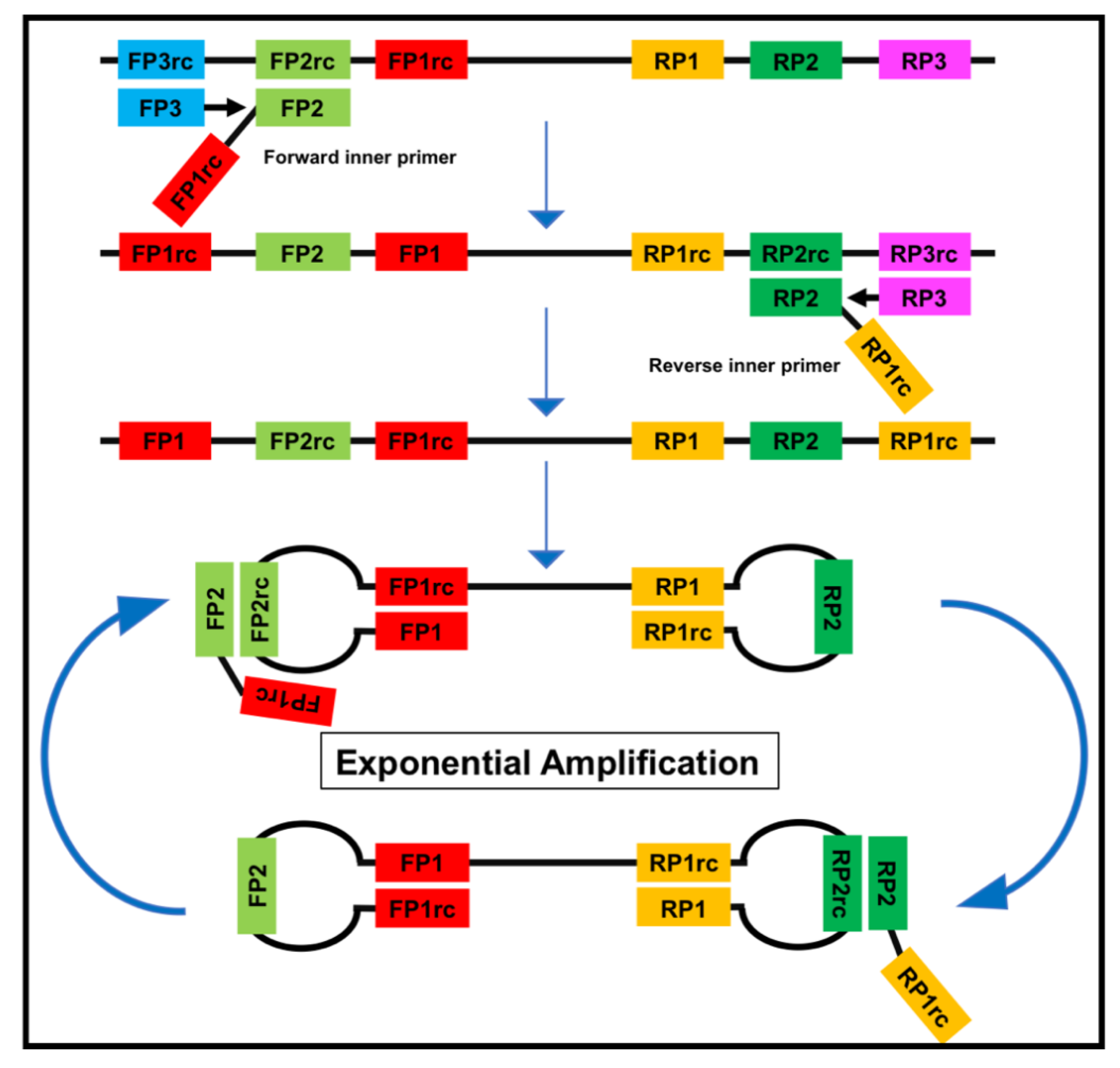Tropicalmed 05 00151 g002 Tropicalmed 05 00151 g002