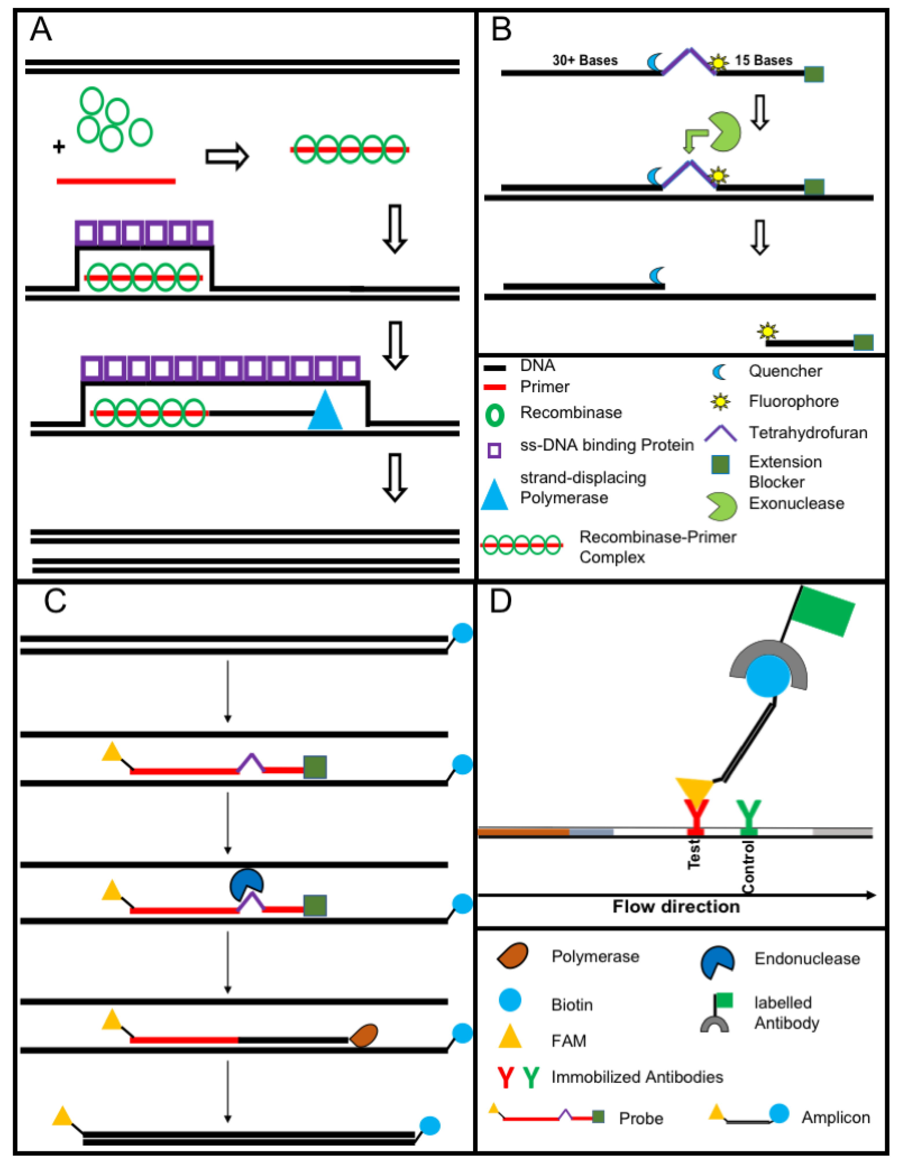 Tropicalmed 05 00151 g003 Tropicalmed 05 00151 g003