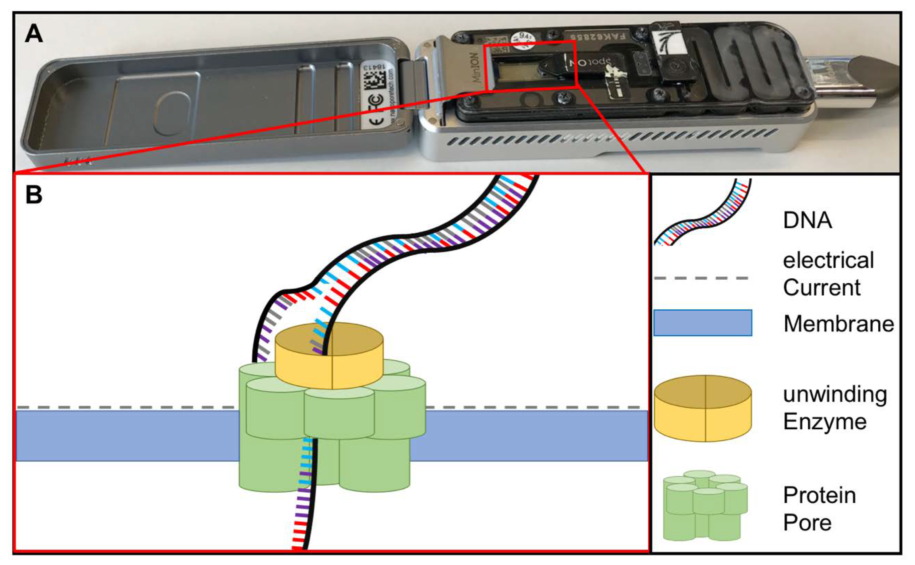Tropicalmed 05 00151 g004 Tropicalmed 05 00151 g004