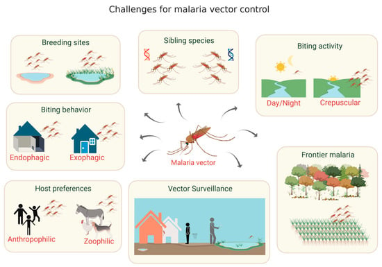 malaria strategies case study