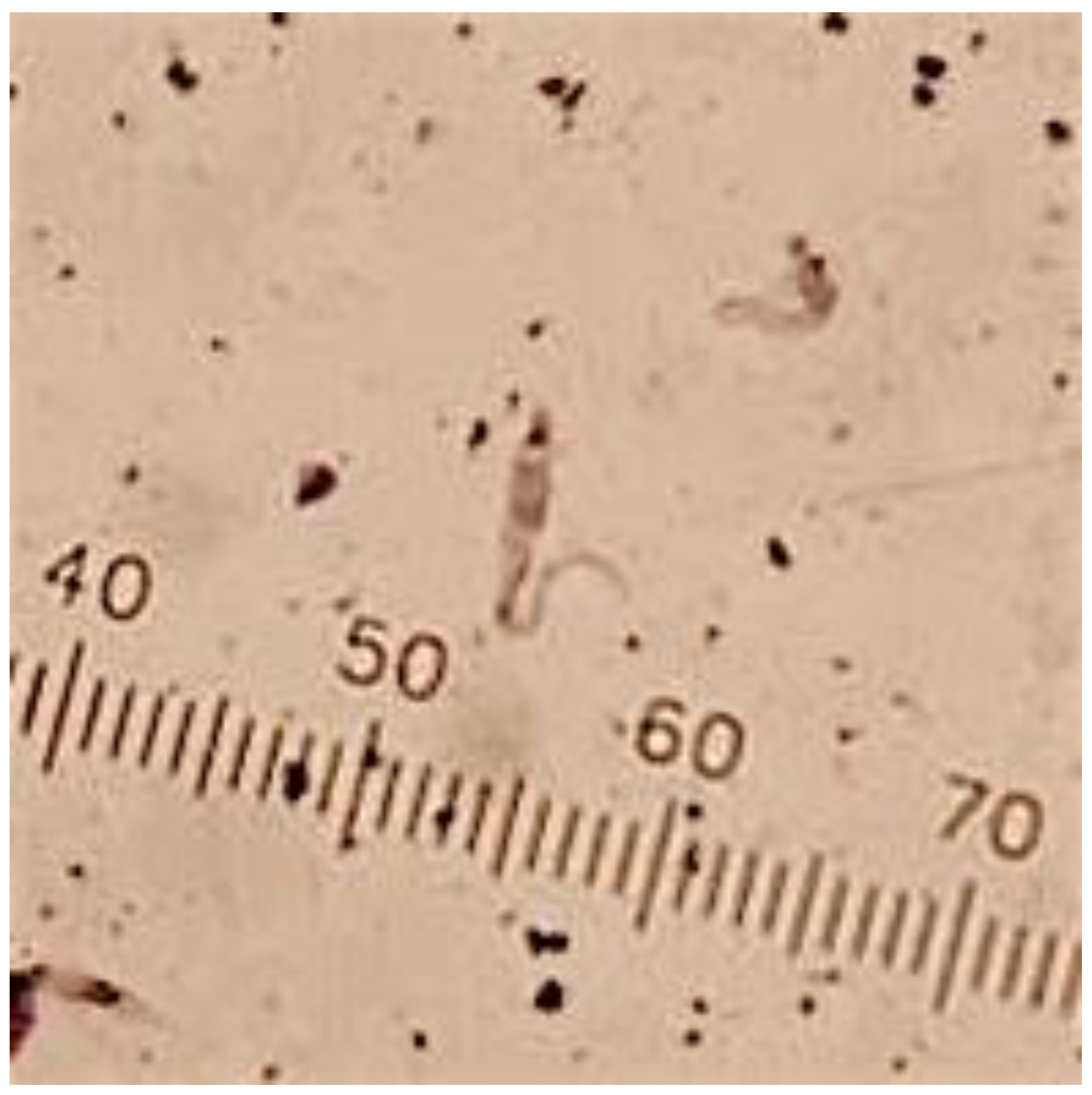 Tropicalmed 05 00166 g003 Tropicalmed 05 00166 g003