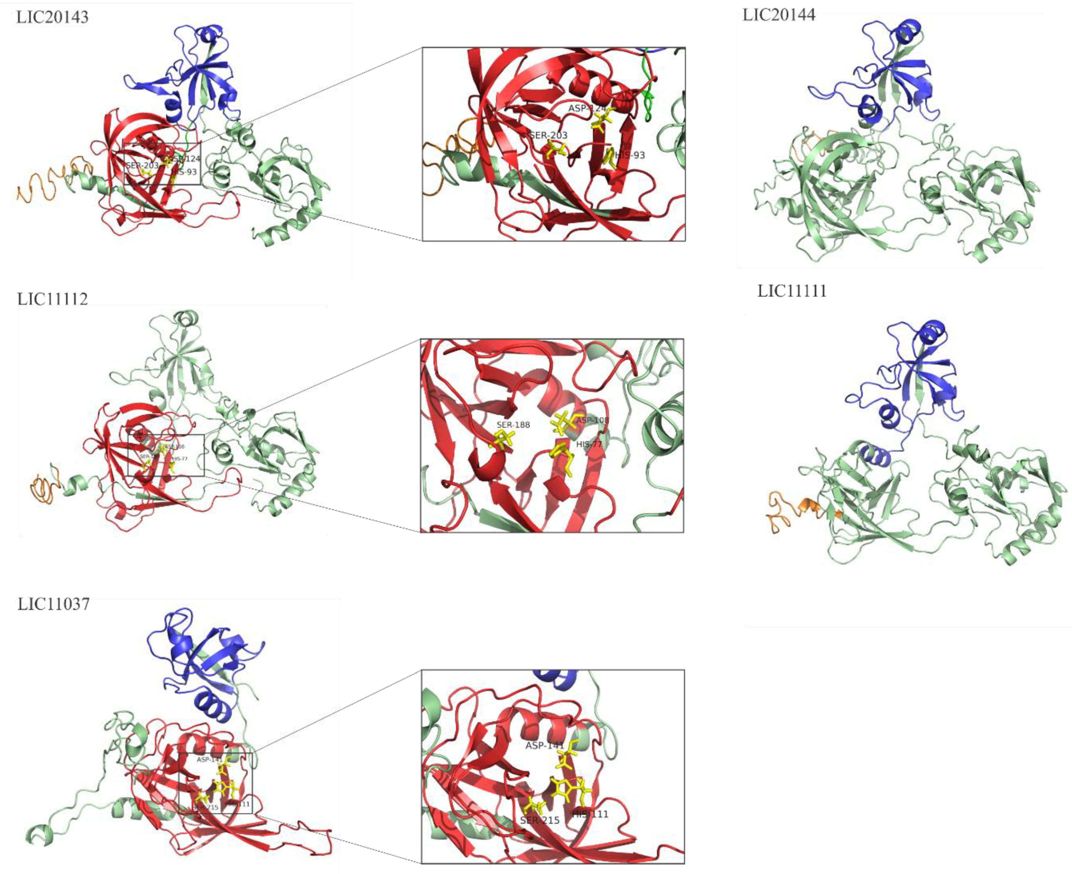 Tropicalmed 05 00179 g004