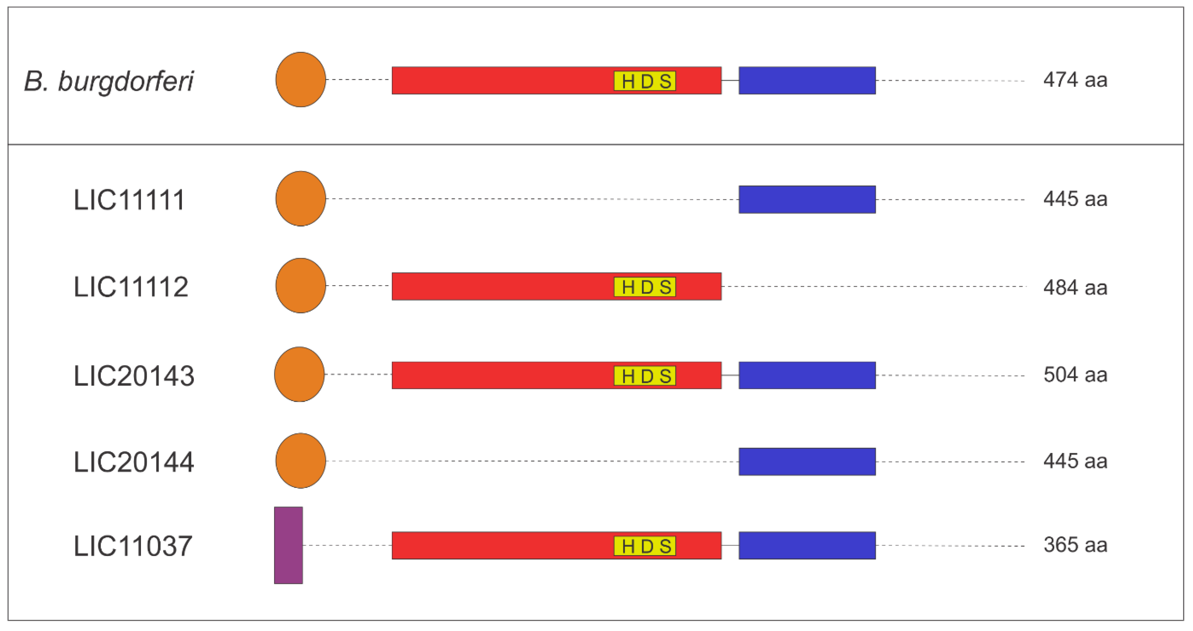 Tropicalmed 05 00179 g005
